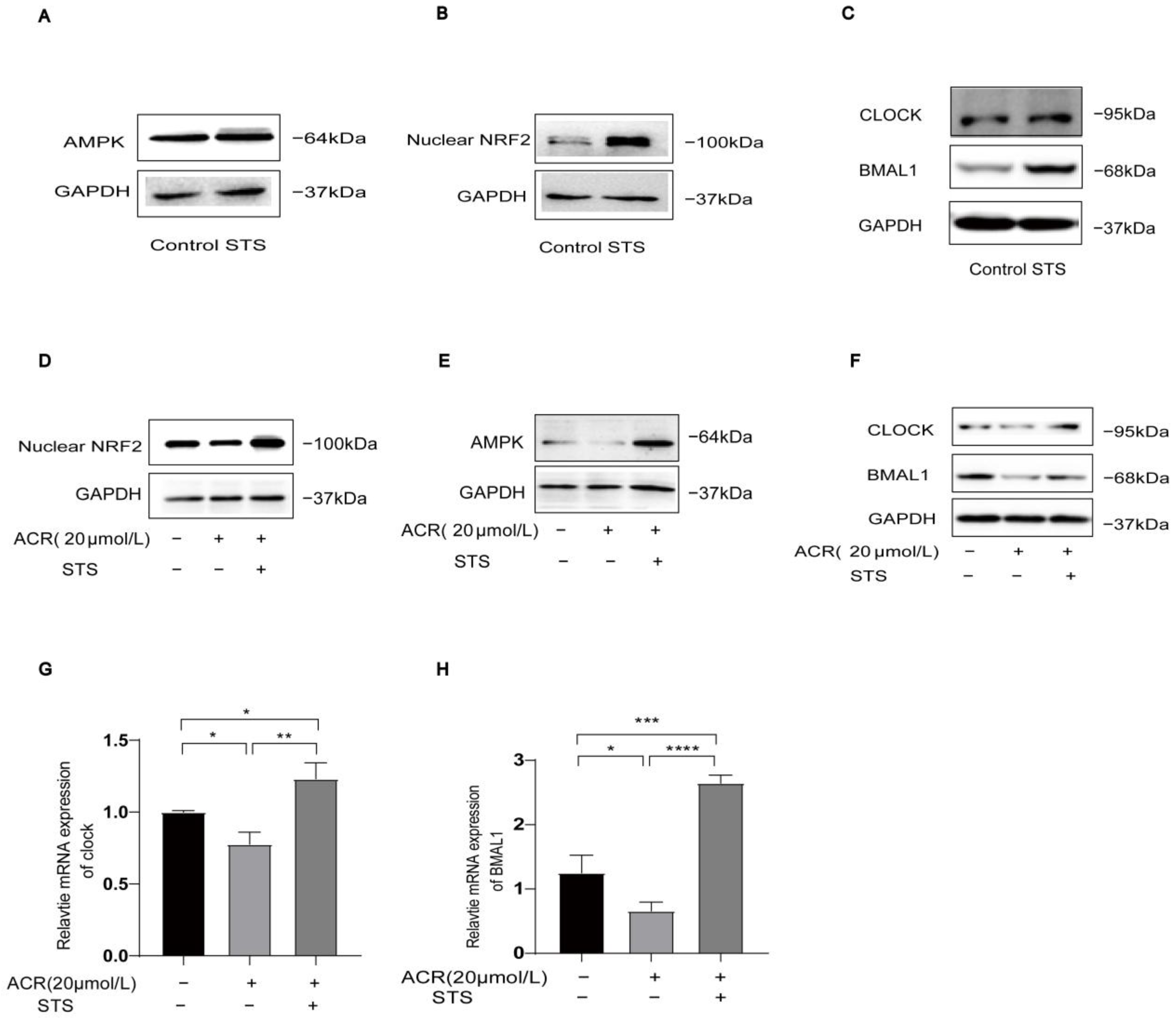 Toxics 13 00369 g005