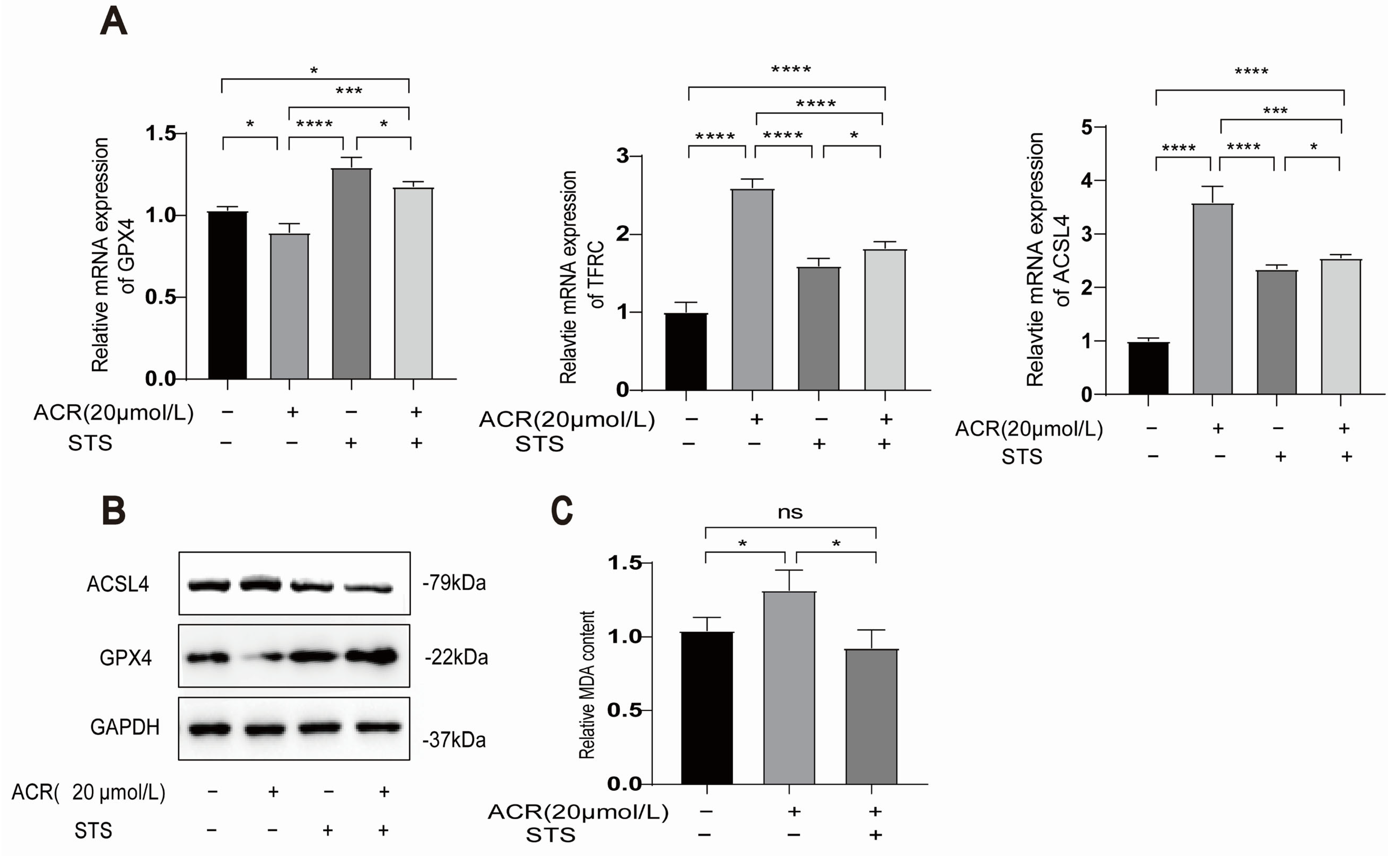 Toxics 13 00369 g006