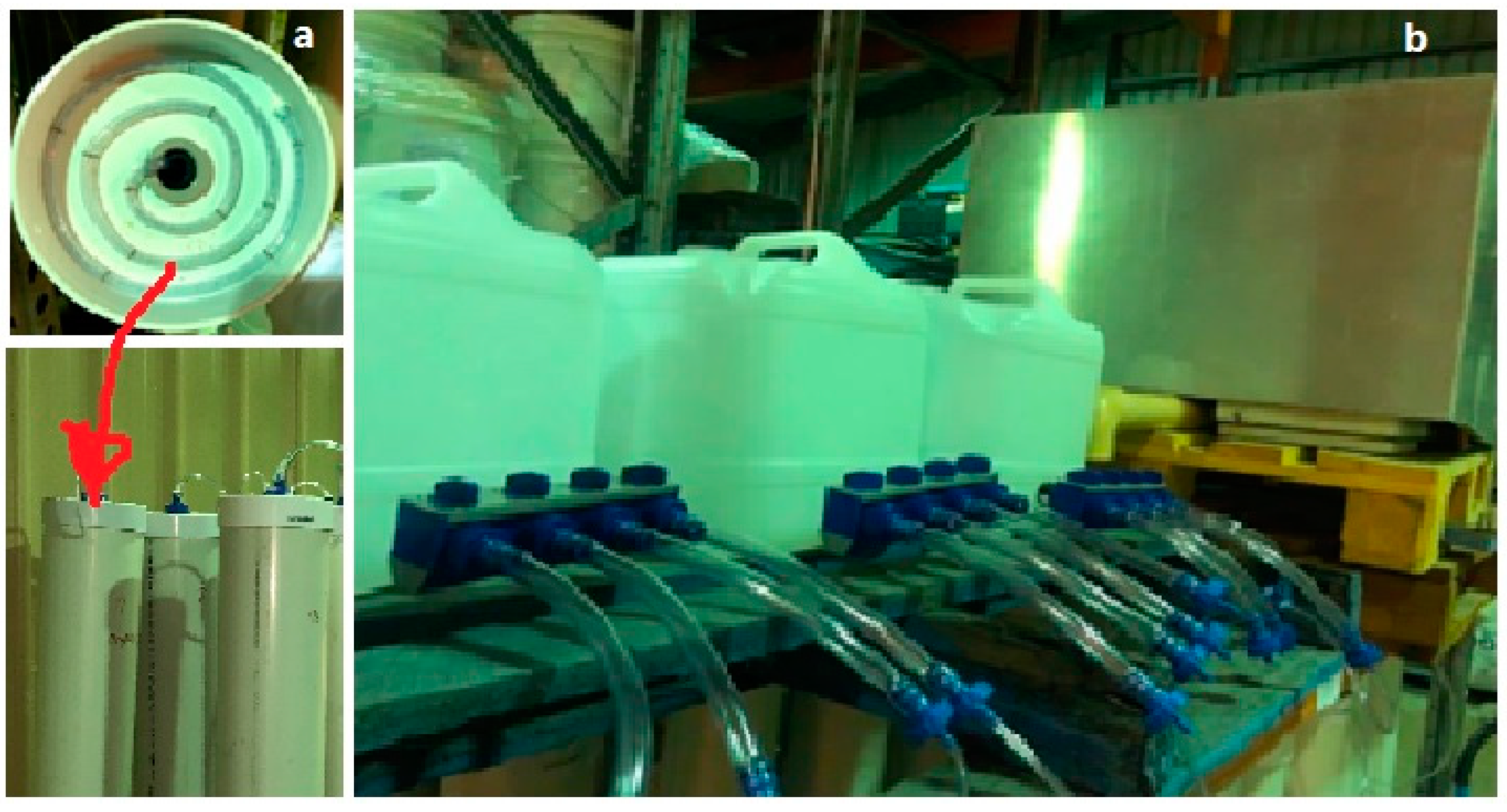 Toxics 13 00370 g003