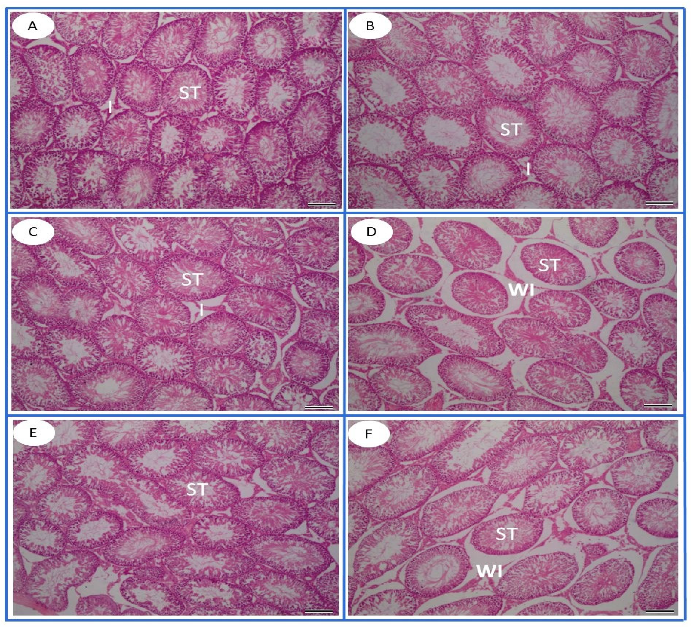 Toxics 13 00371 g006