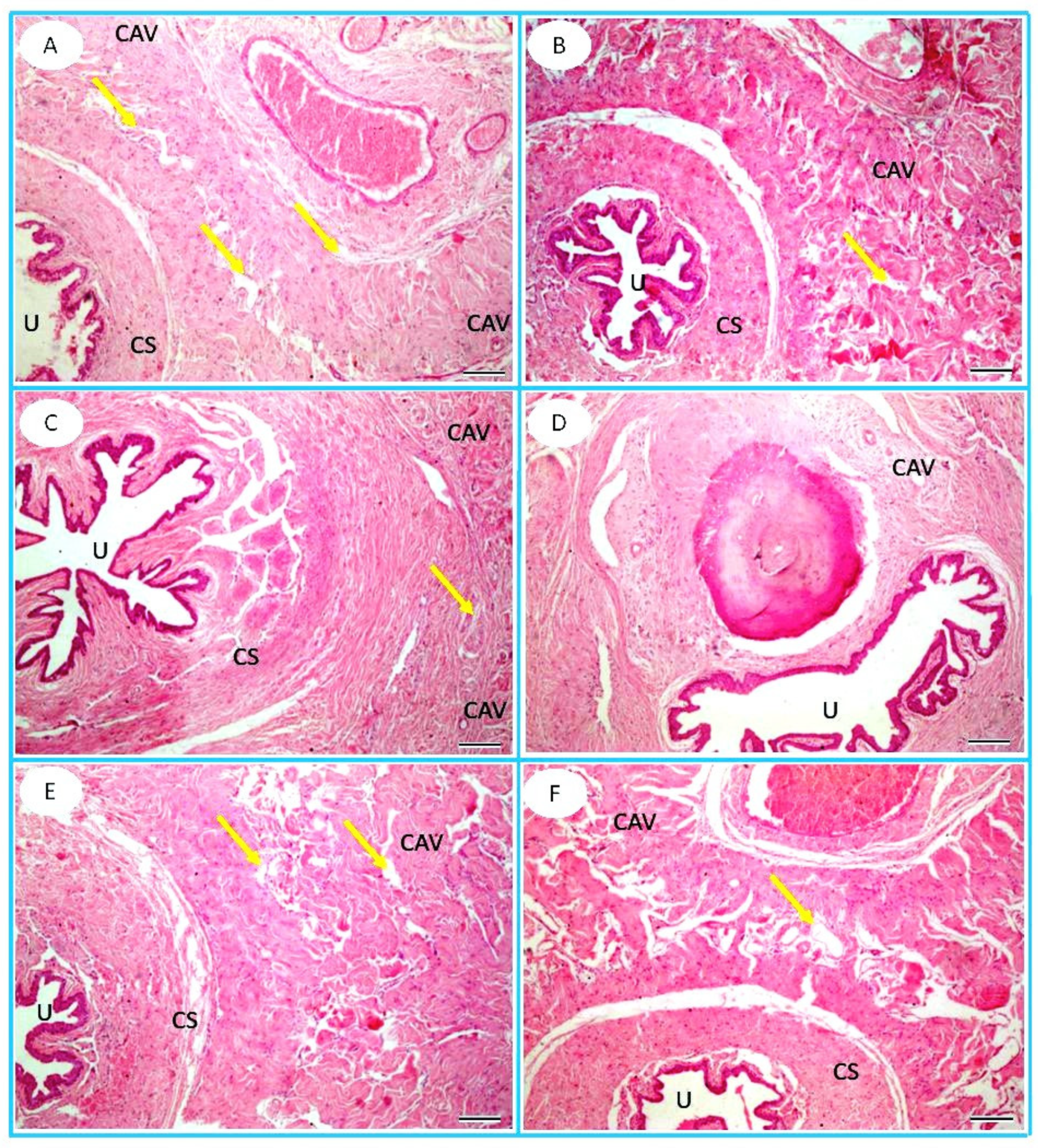 Toxics 13 00371 g007