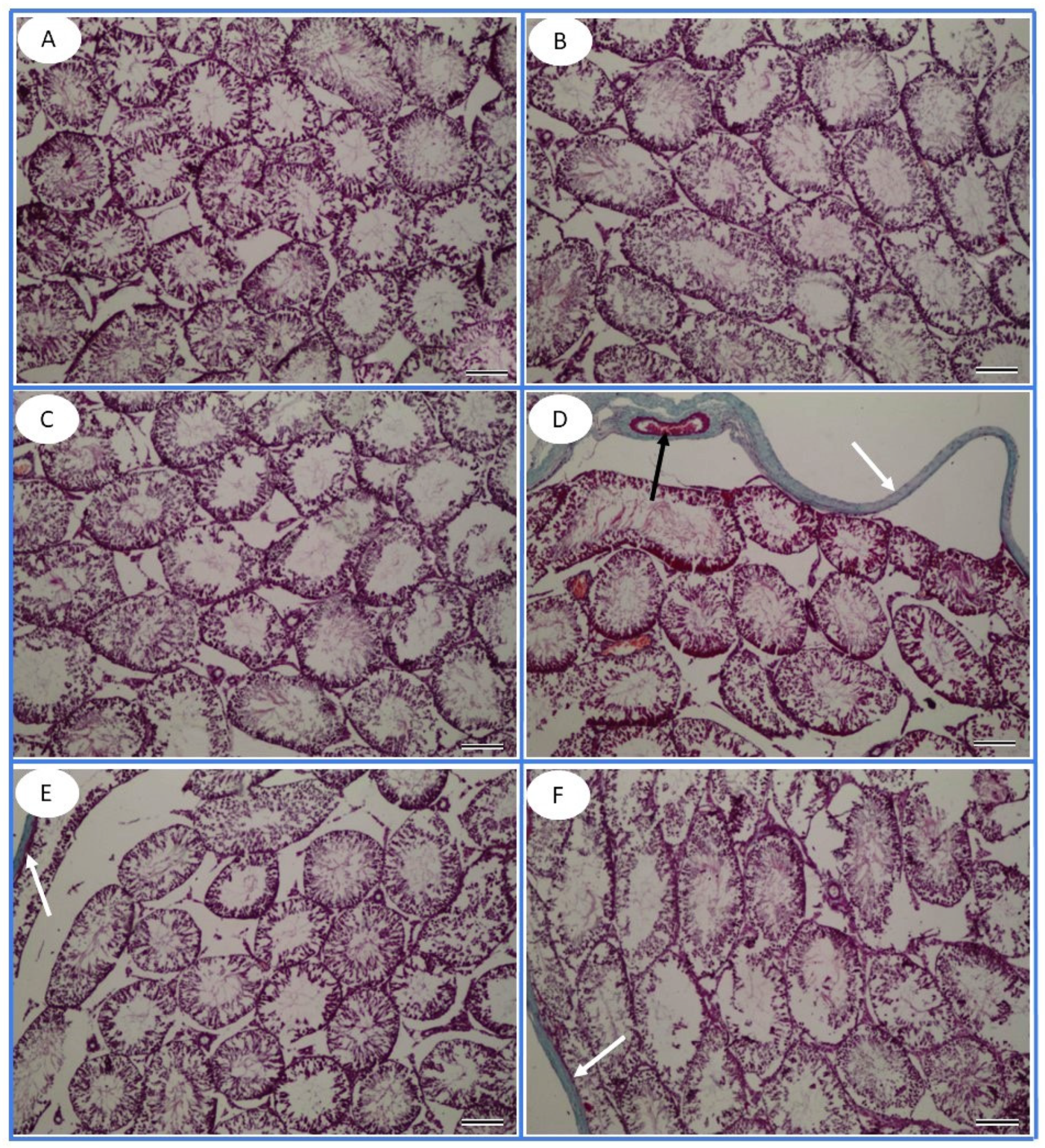 Toxics 13 00371 g008