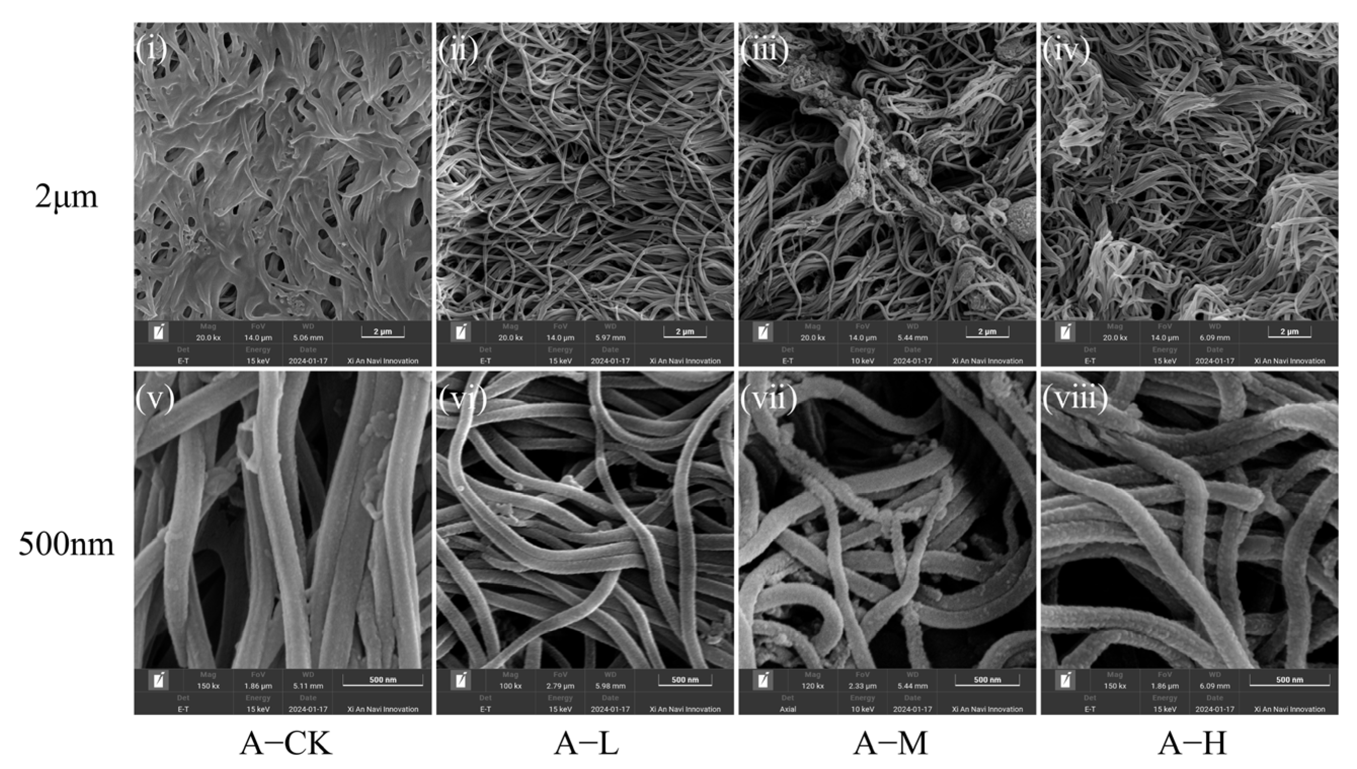 Toxics 13 00374 g001