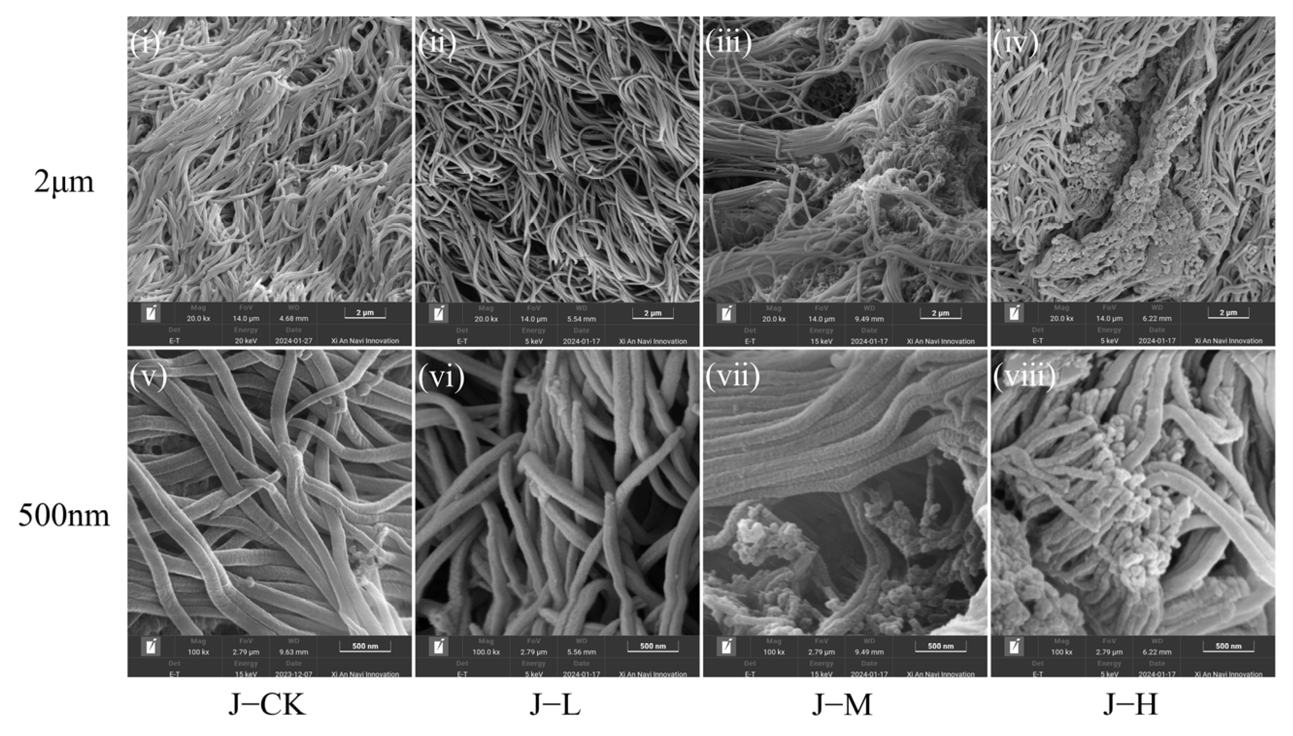 Toxics 13 00374 g002
