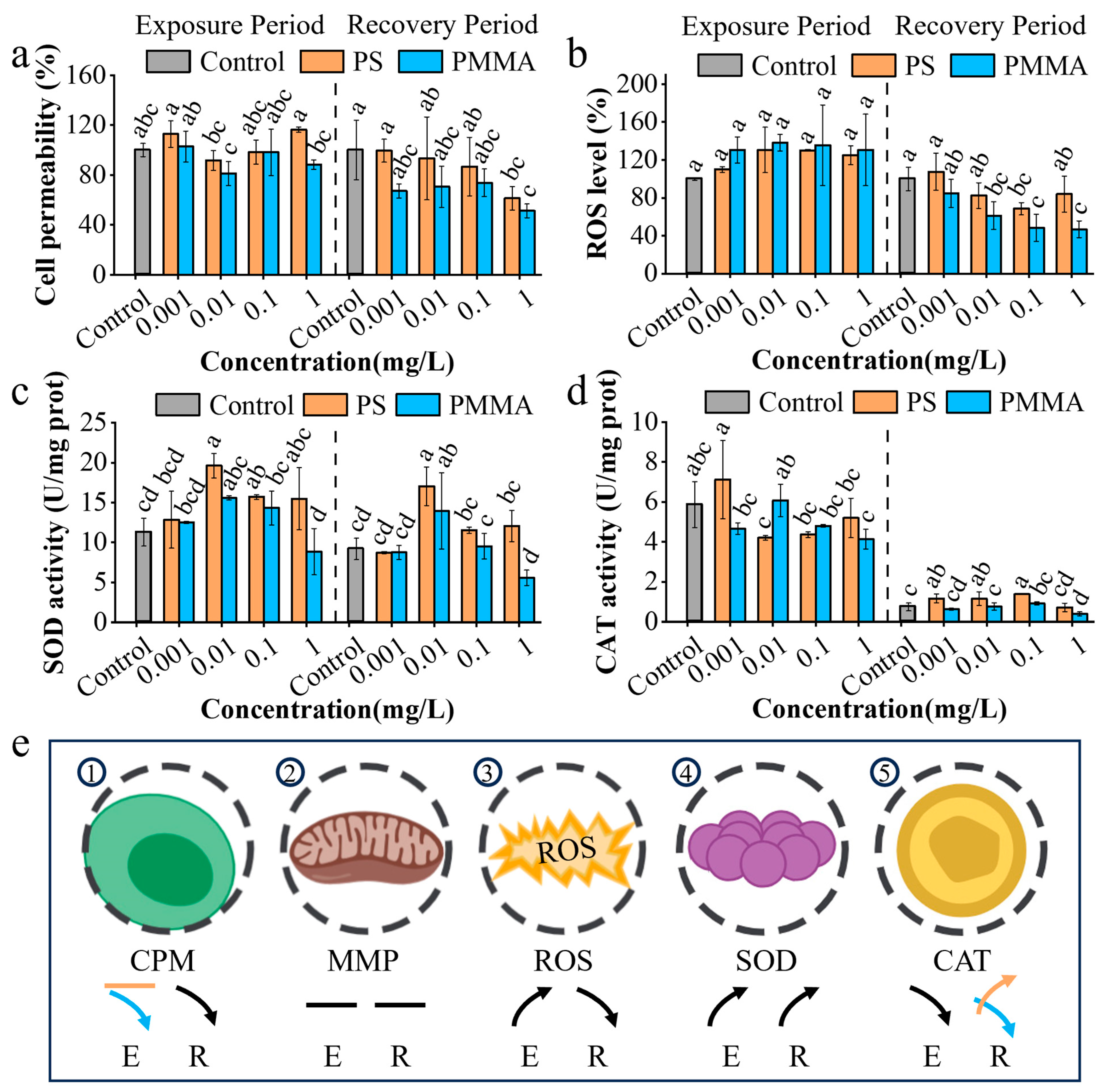 Toxics 13 00376 g002