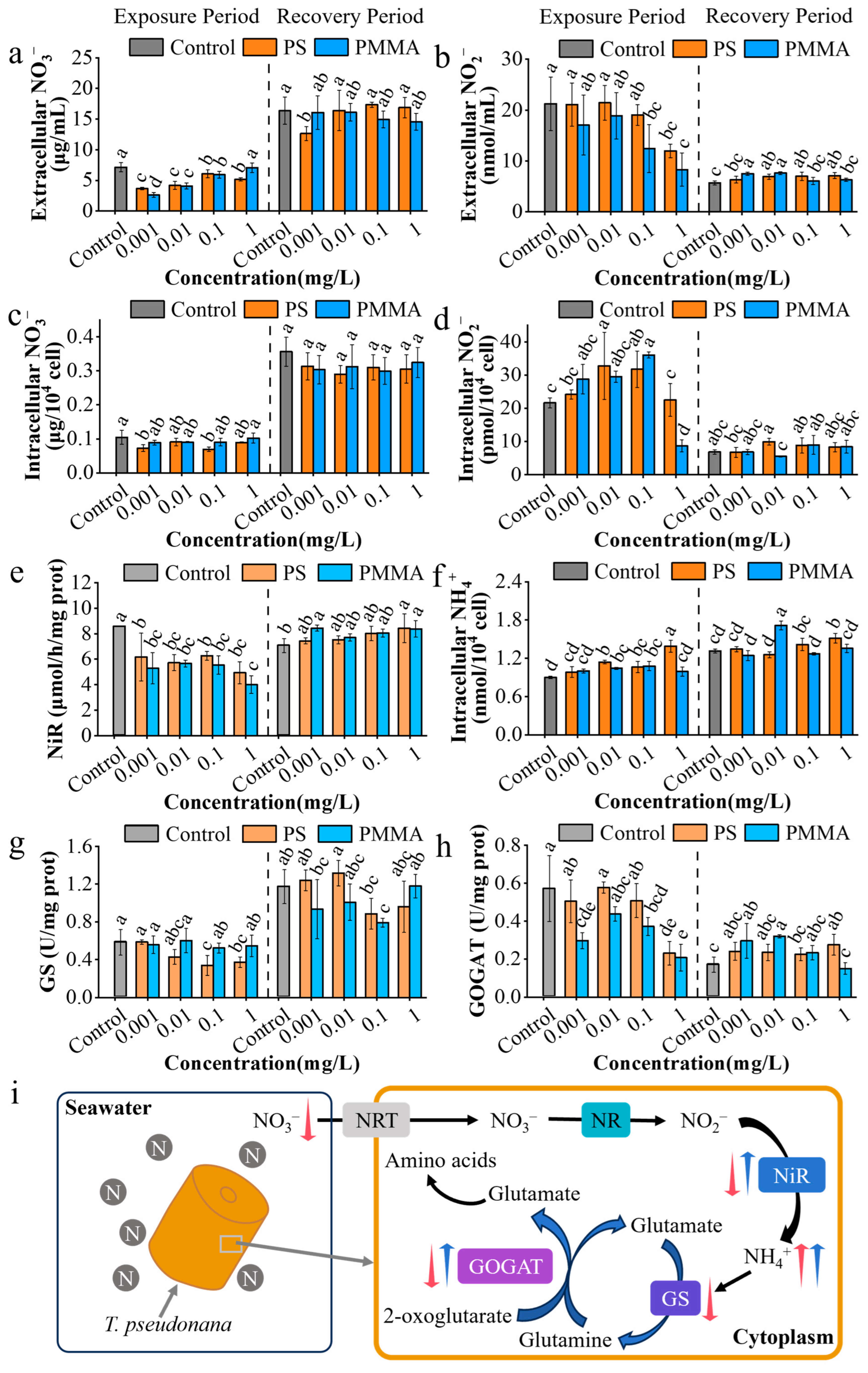 Toxics 13 00376 g004