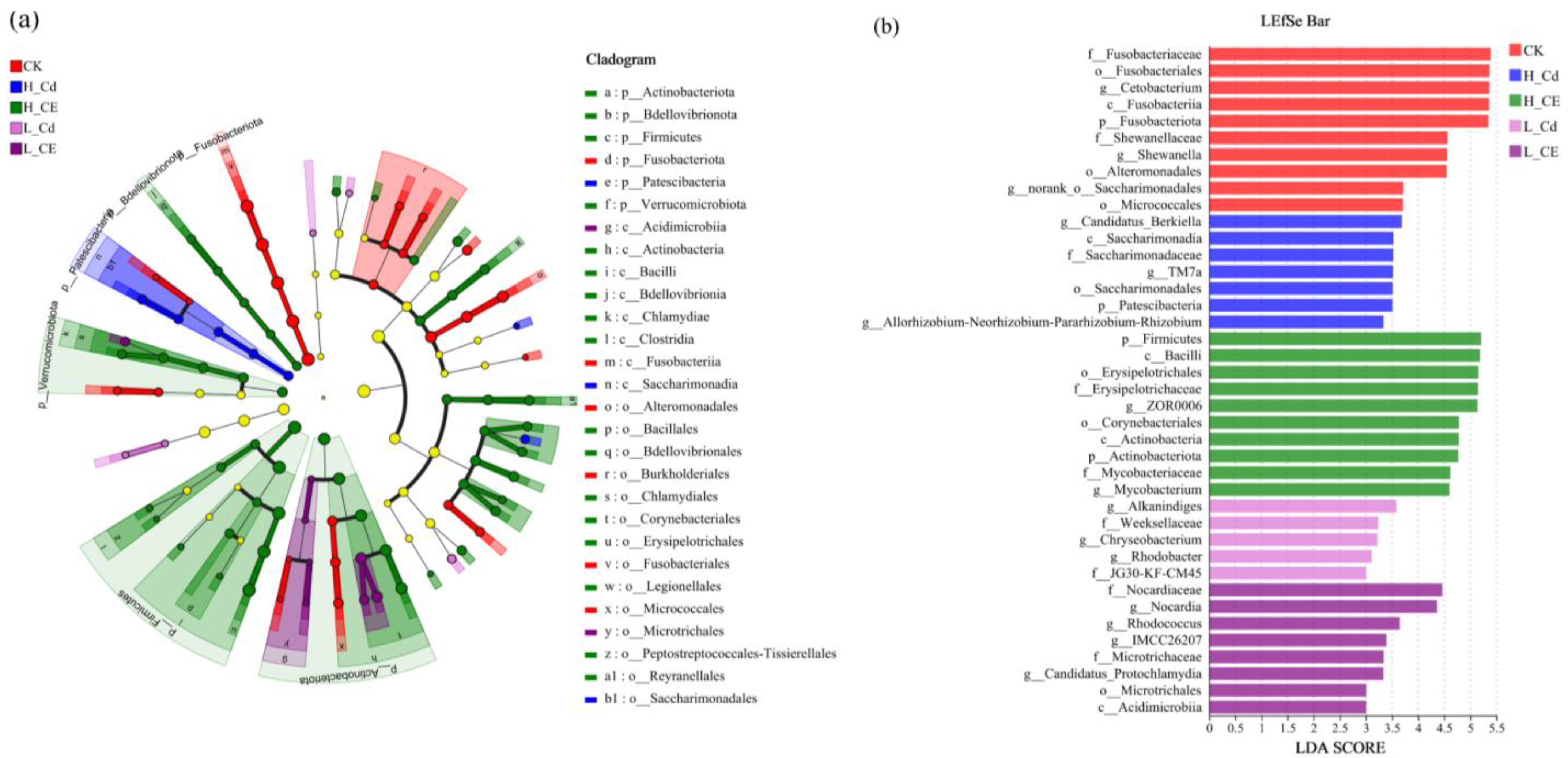 Toxics 13 00378 g007