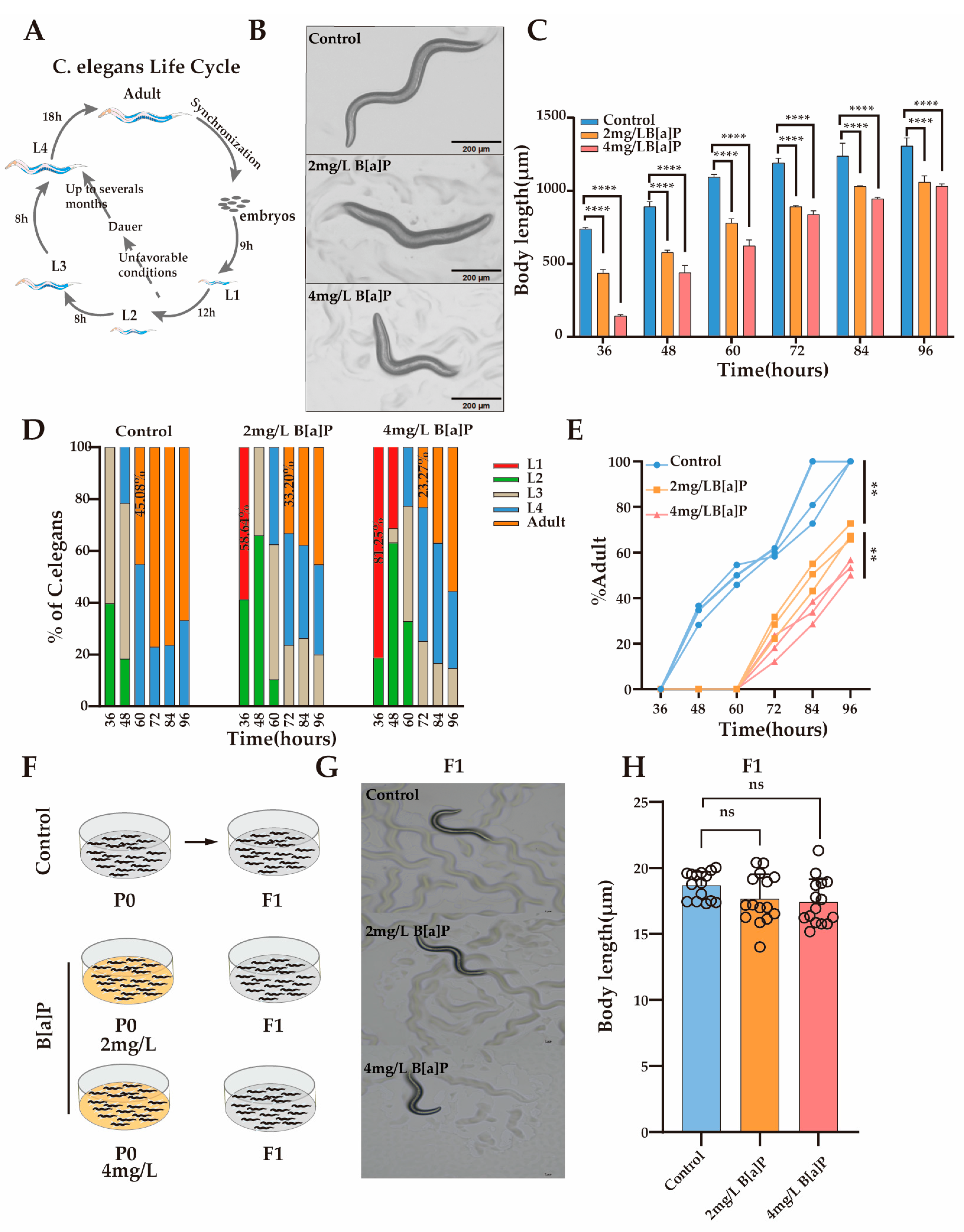 Toxics 13 00384 g002