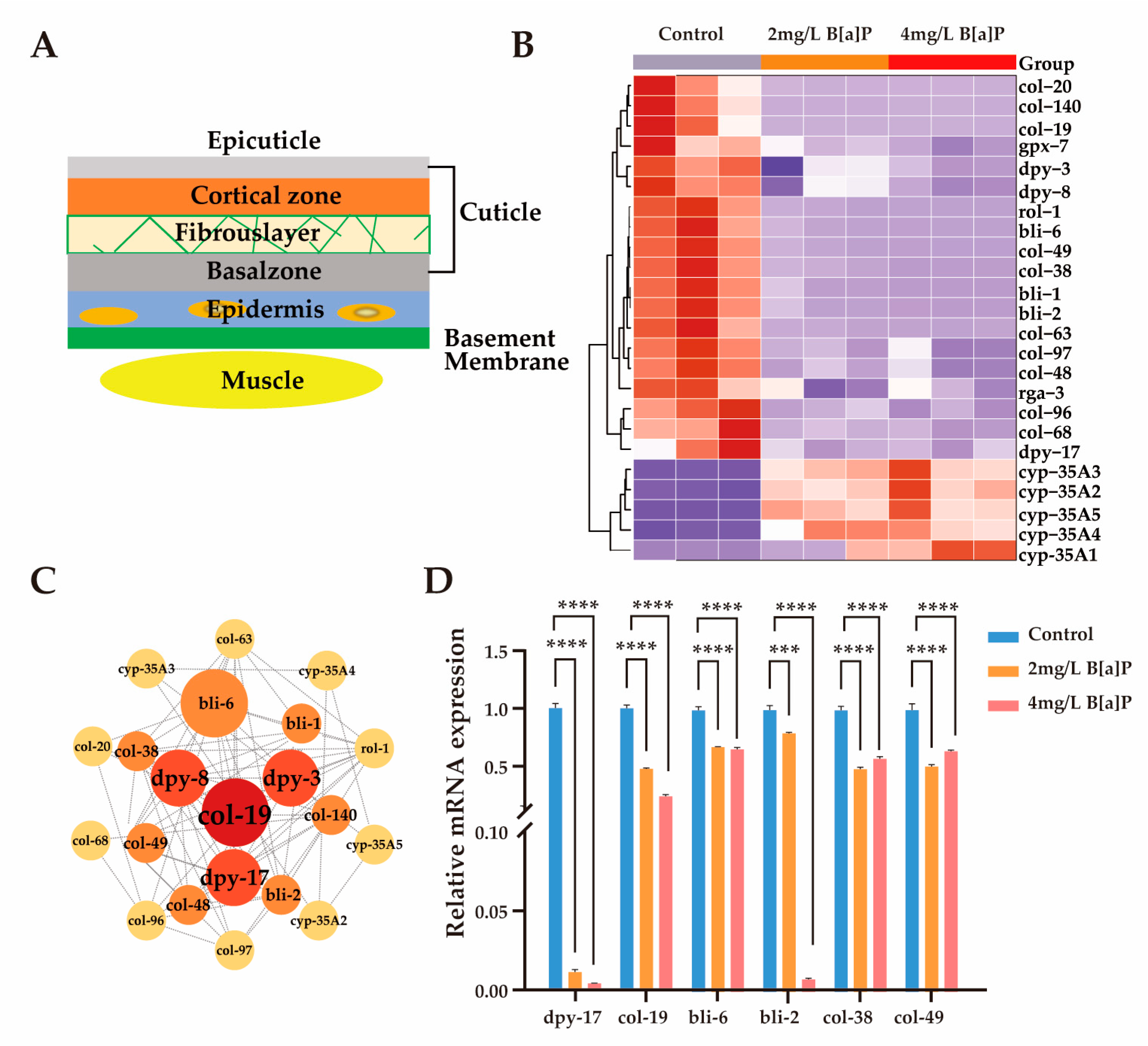 Toxics 13 00384 g004