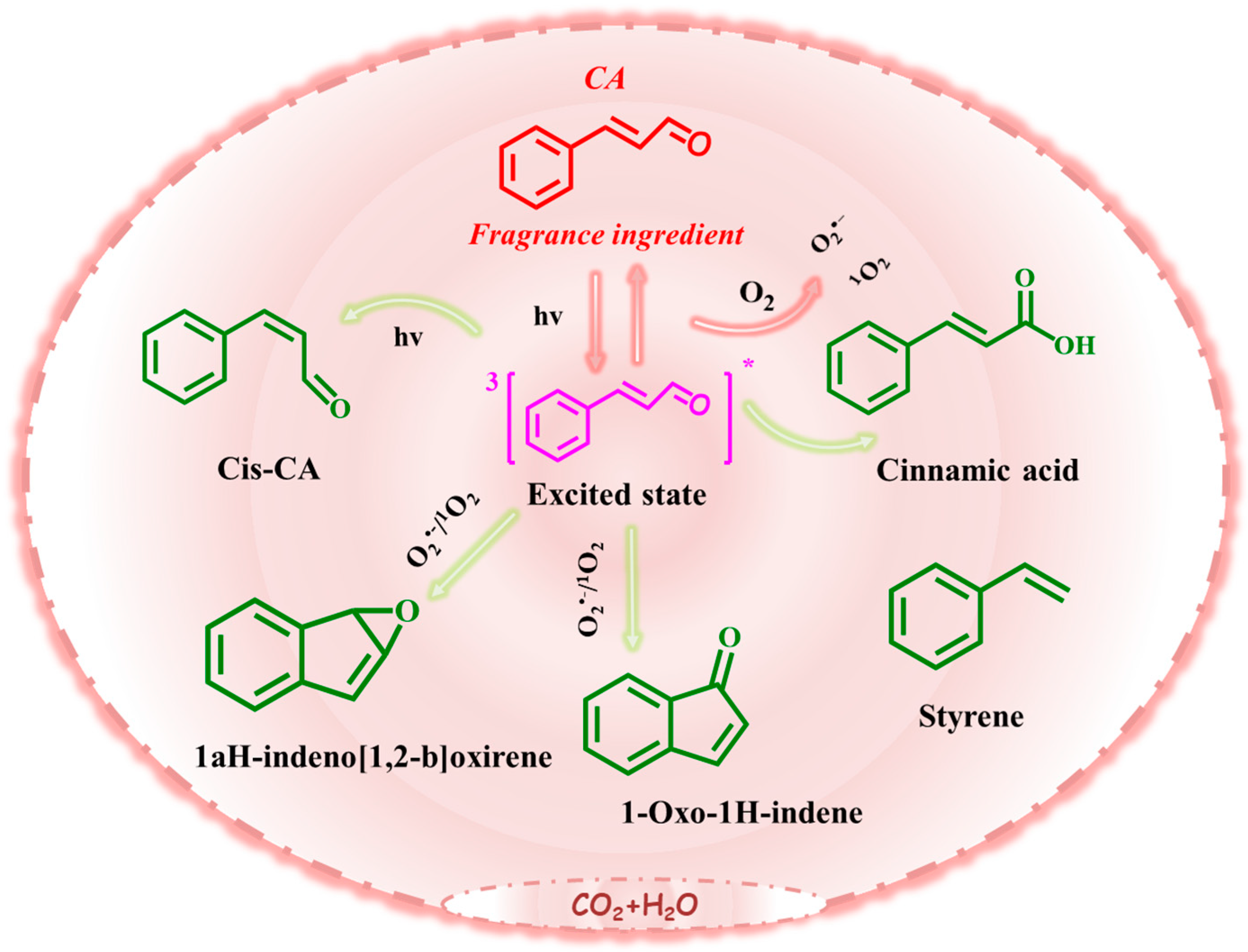 Toxics 13 00386 g005
