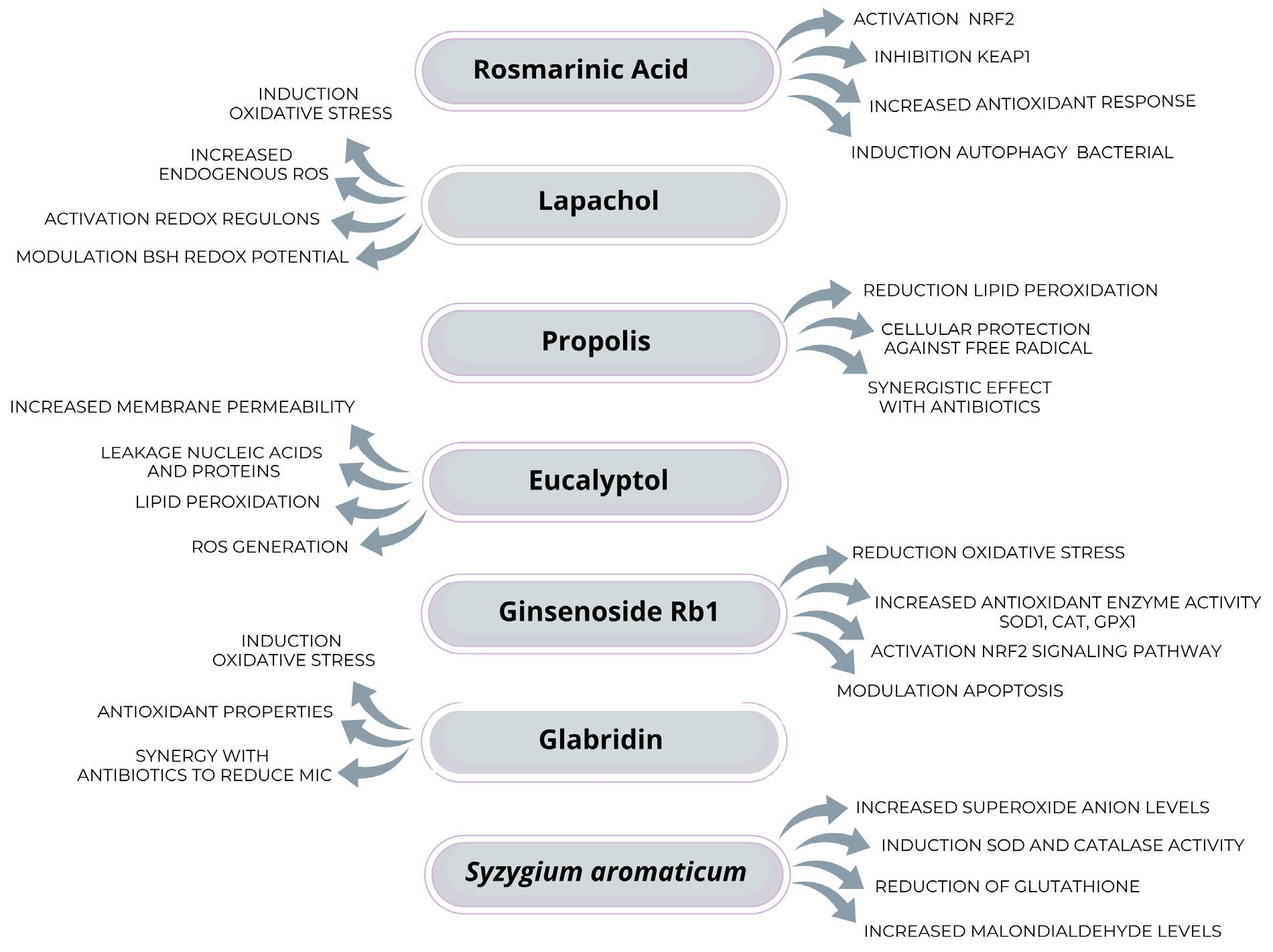 Toxics 13 00390 g001