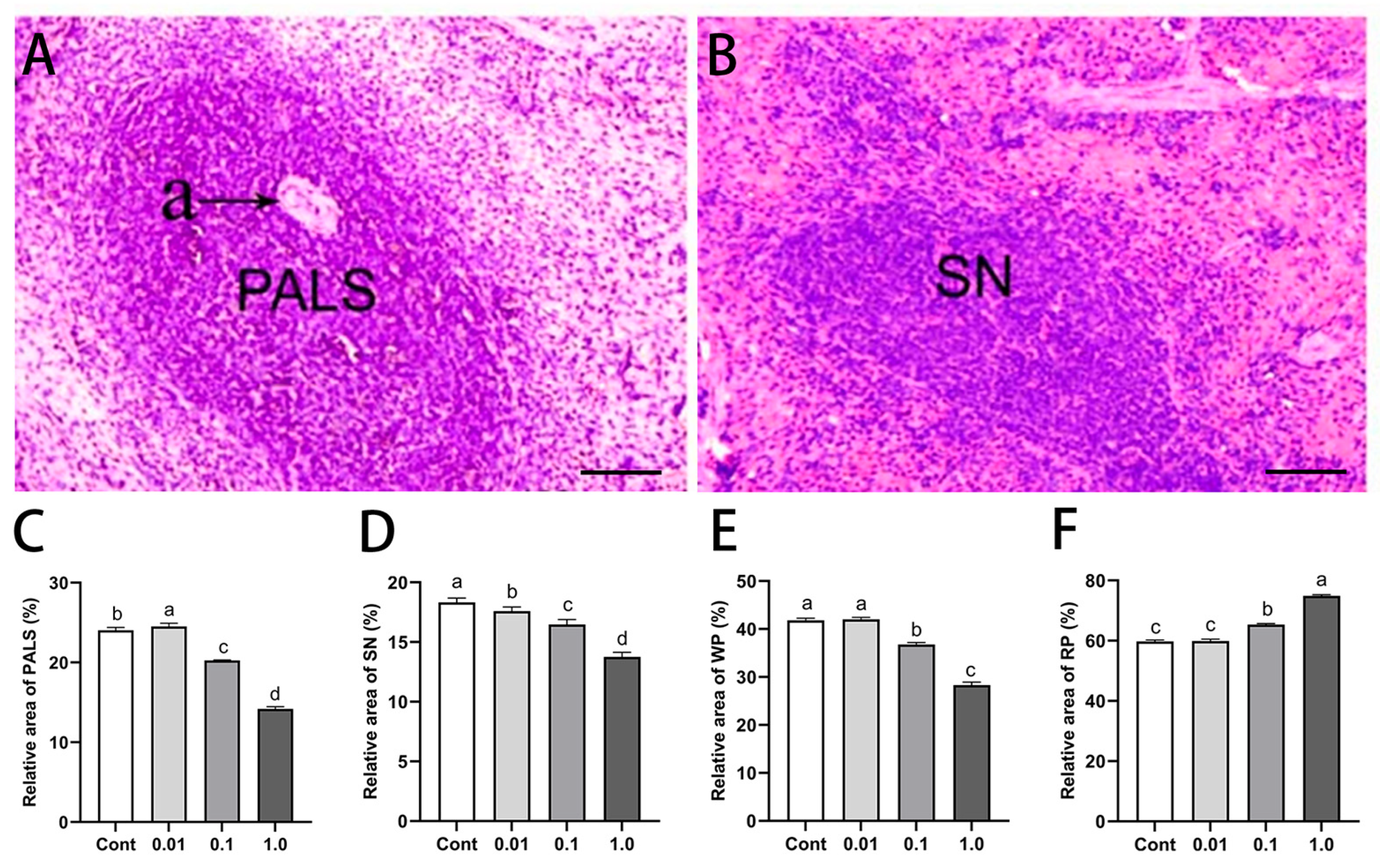 Toxics 13 00397 g001