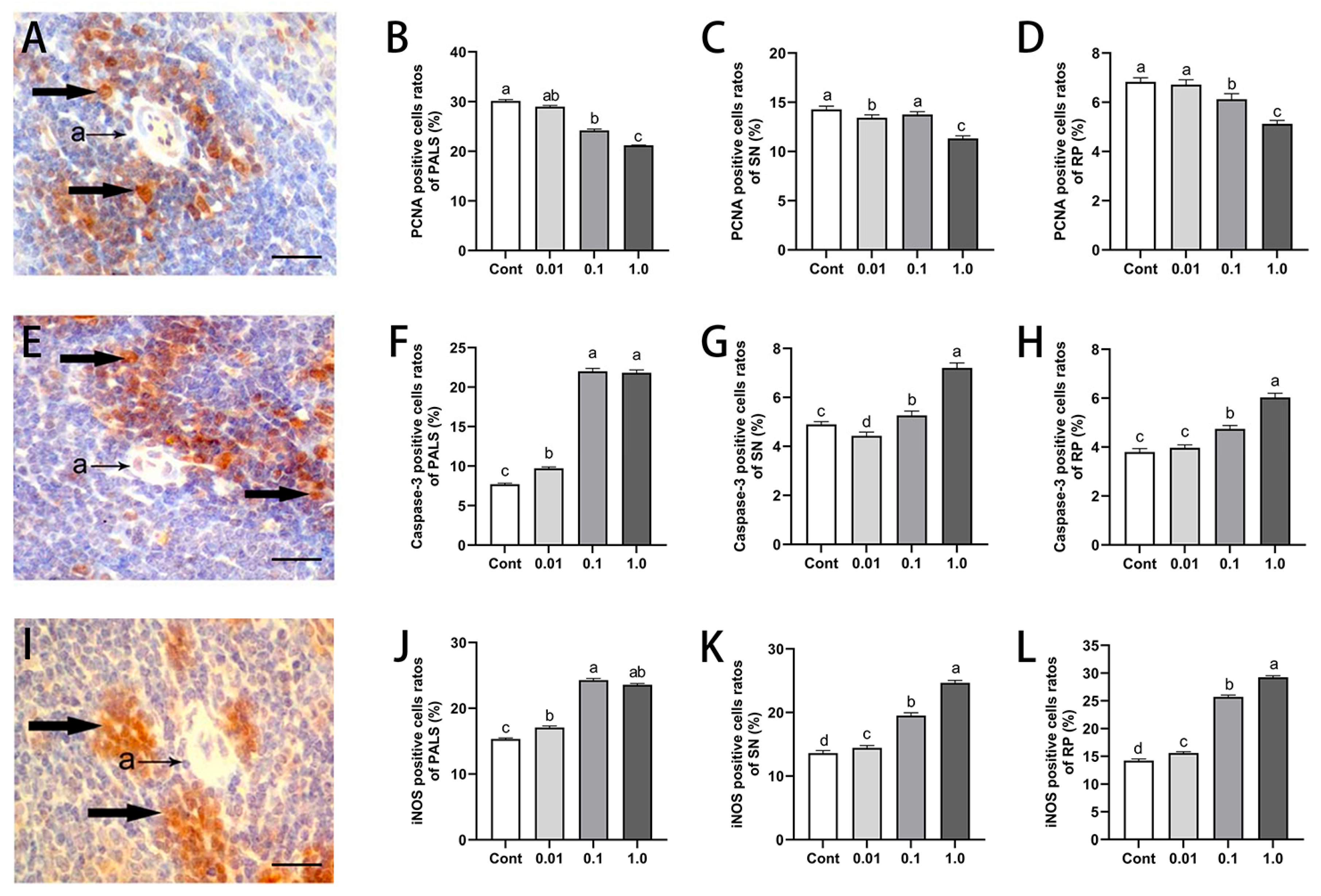 Toxics 13 00397 g002