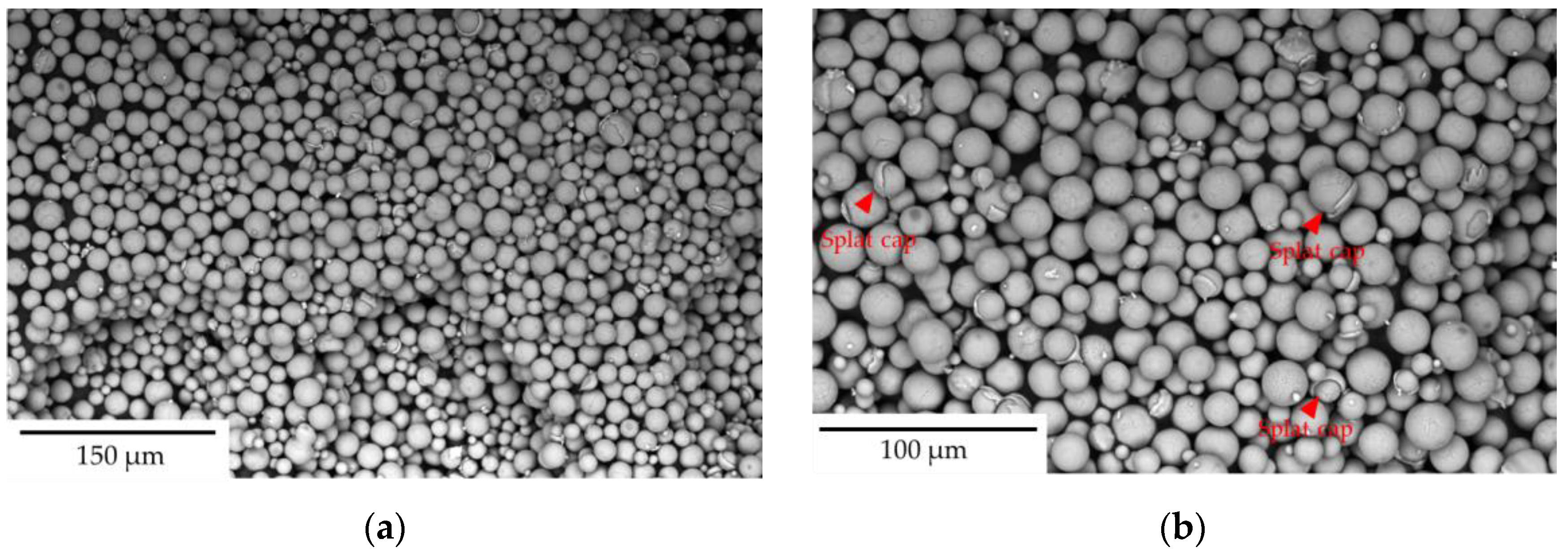Toxics 13 00398 g012