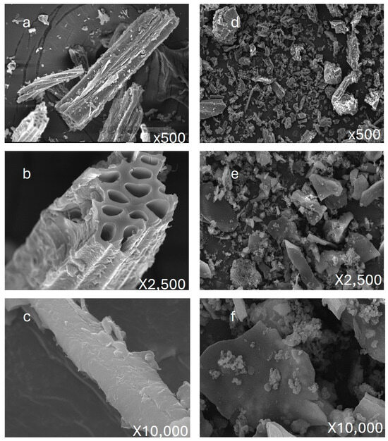 Preparation of Nitrogen-Doped Biochar and Its Adsorption