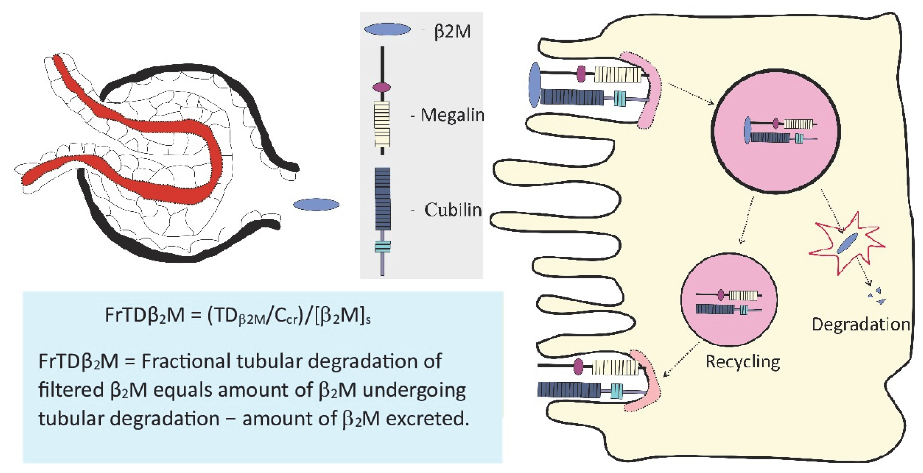 Toxics 13 00404 g002