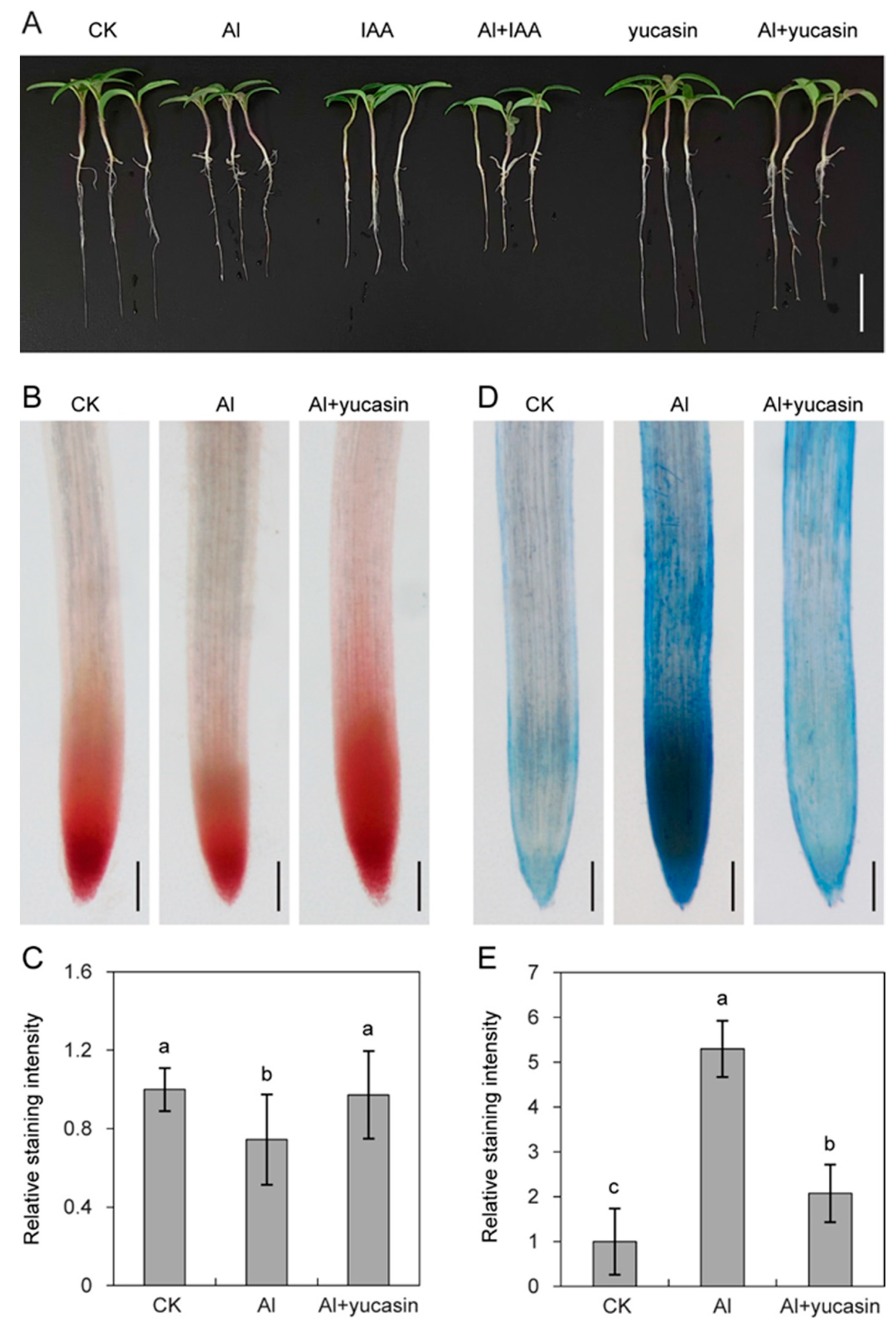 Toxics 13 00406 g001