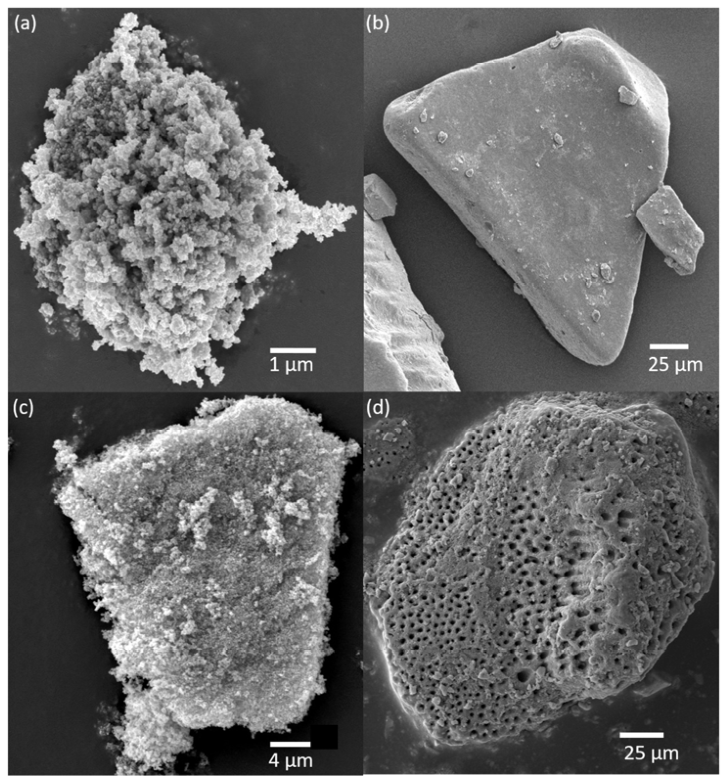 Toxics 13 00407 g001