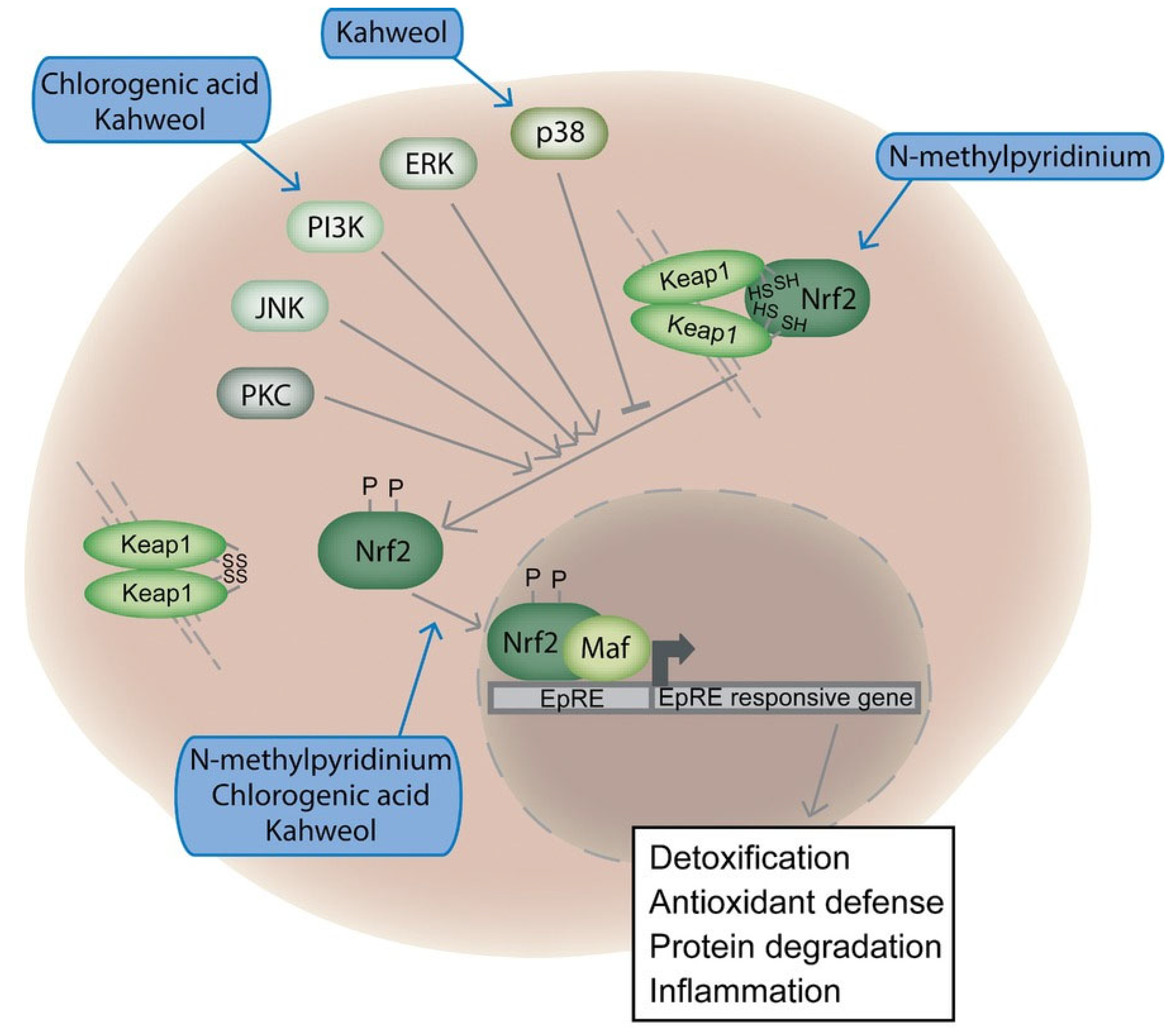 Toxics 13 00409 g003