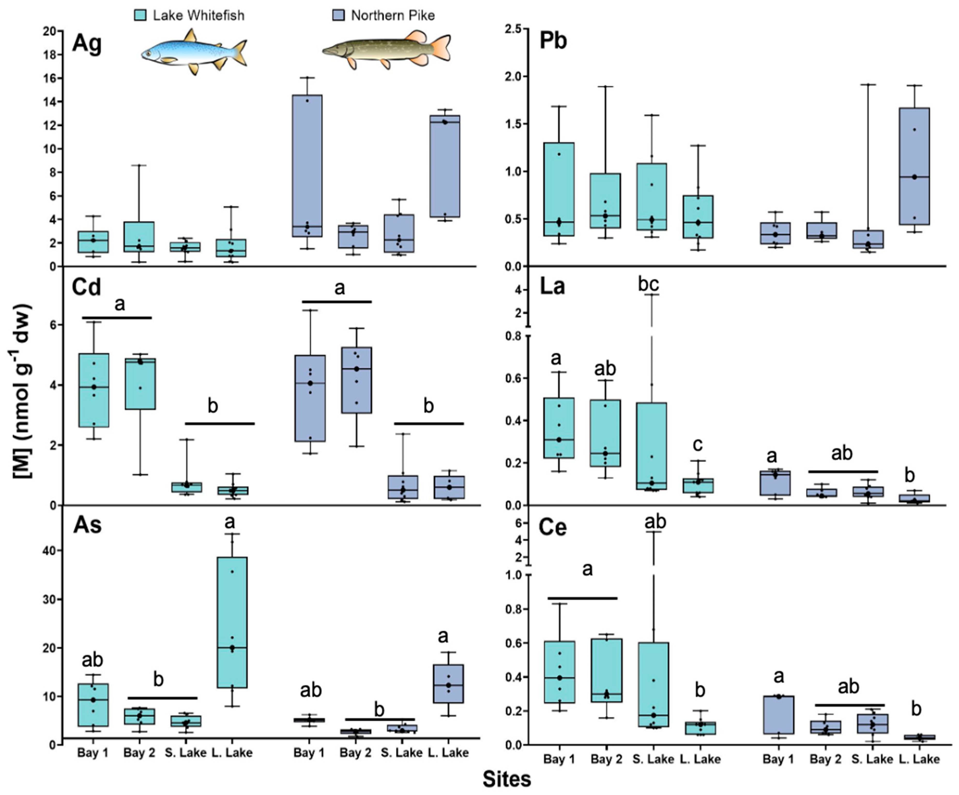 Toxics 13 00410 g001