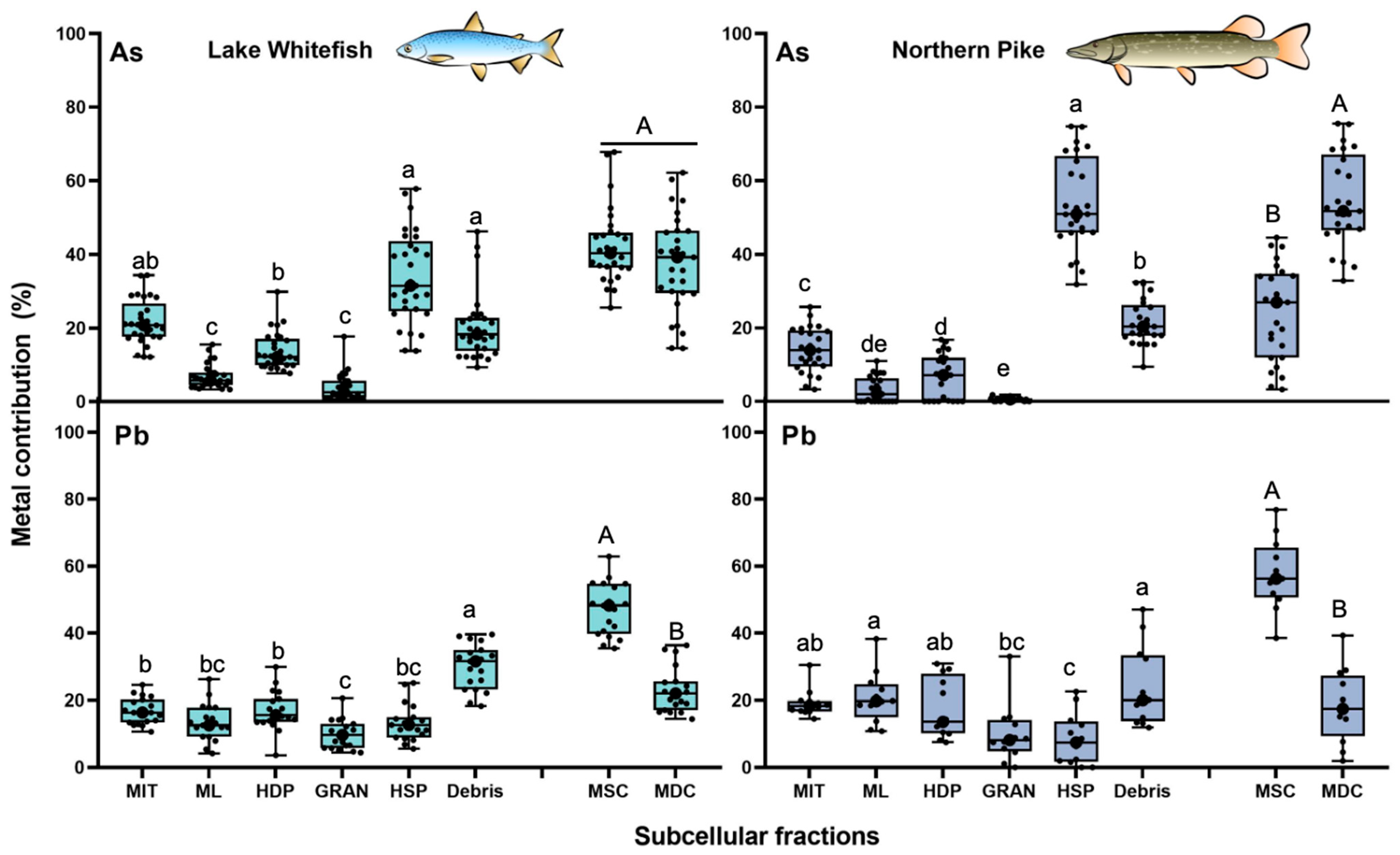 Toxics 13 00410 g003