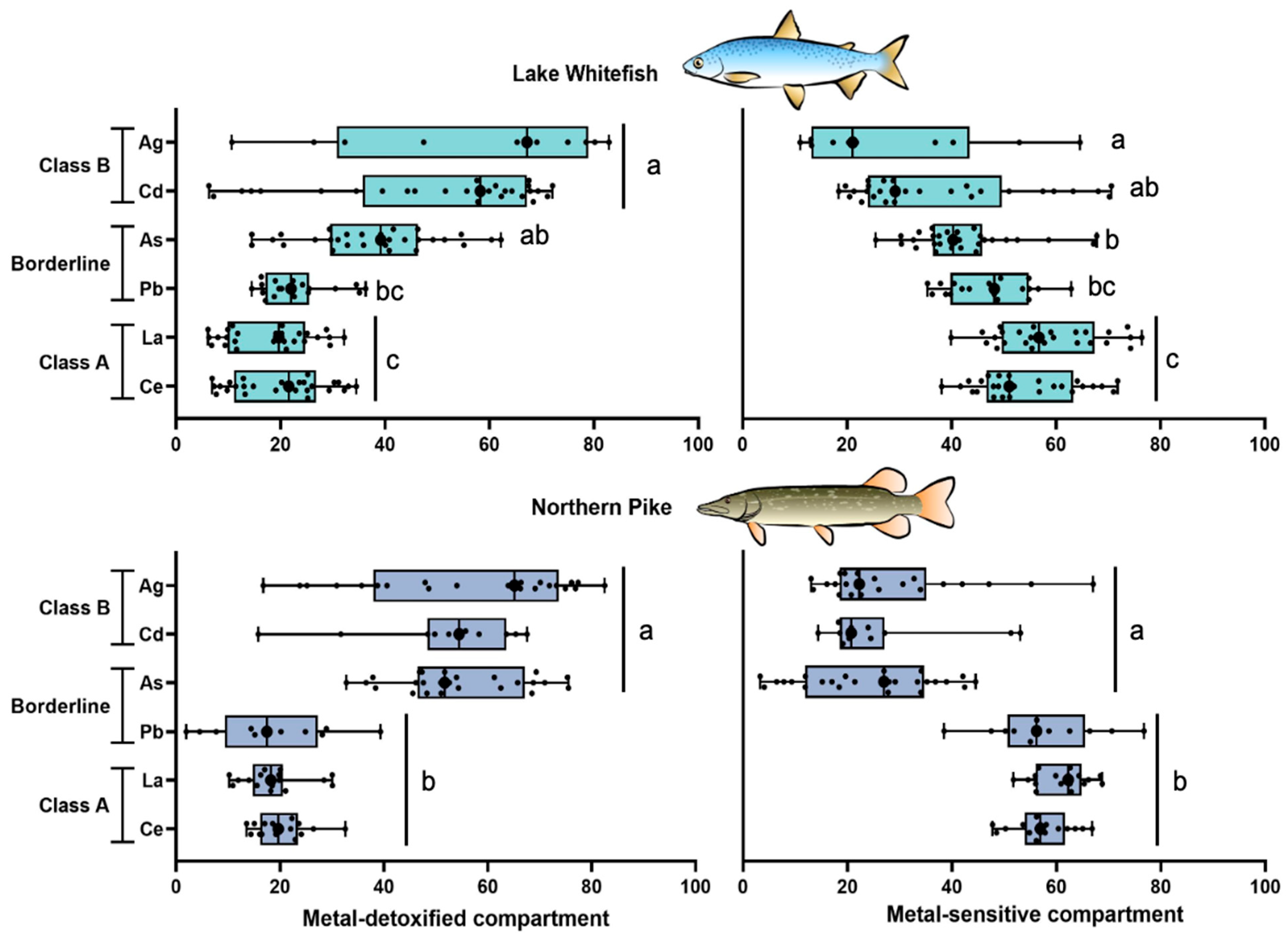 Toxics 13 00410 g005