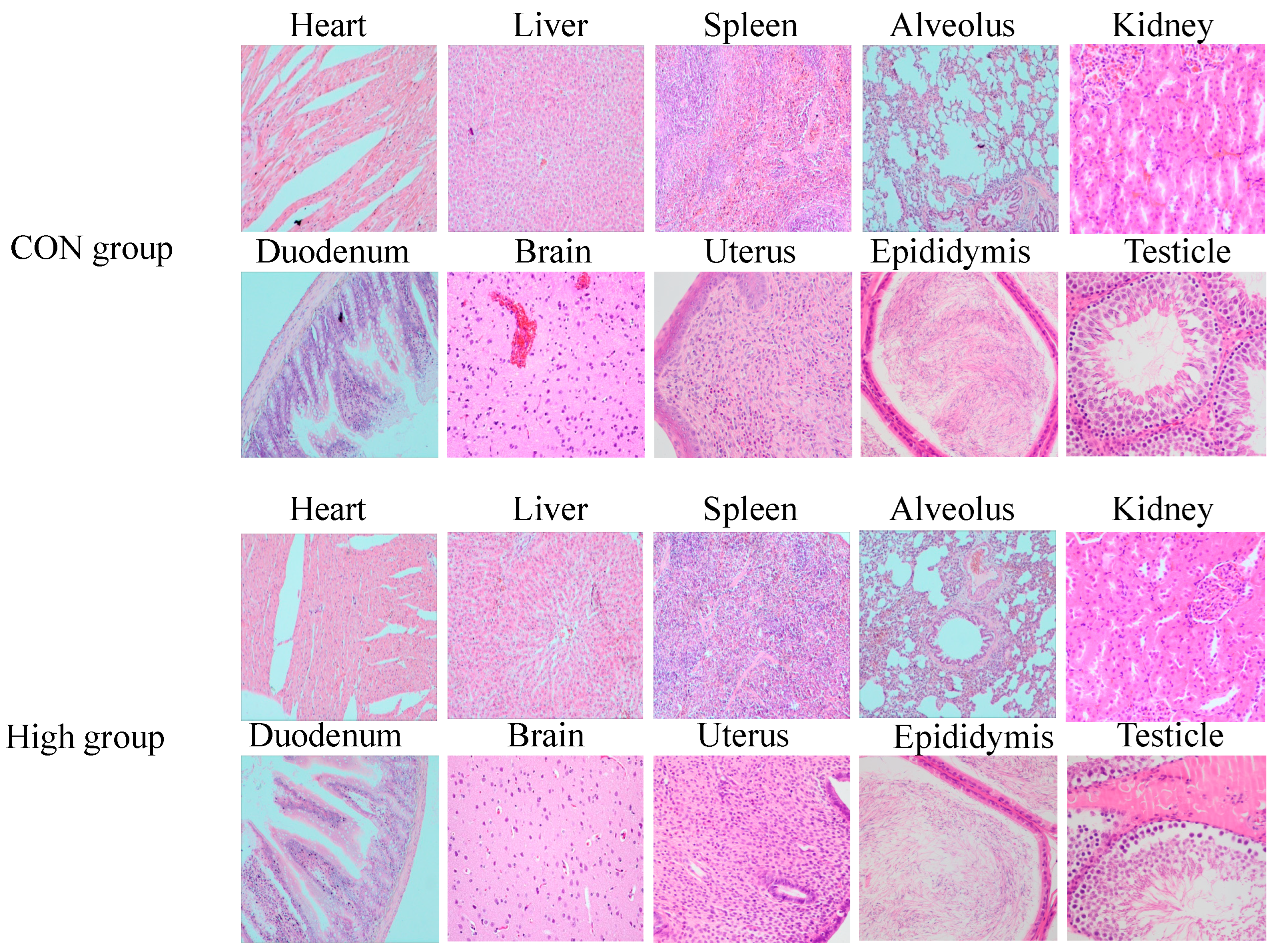 Toxics 13 00413 g011