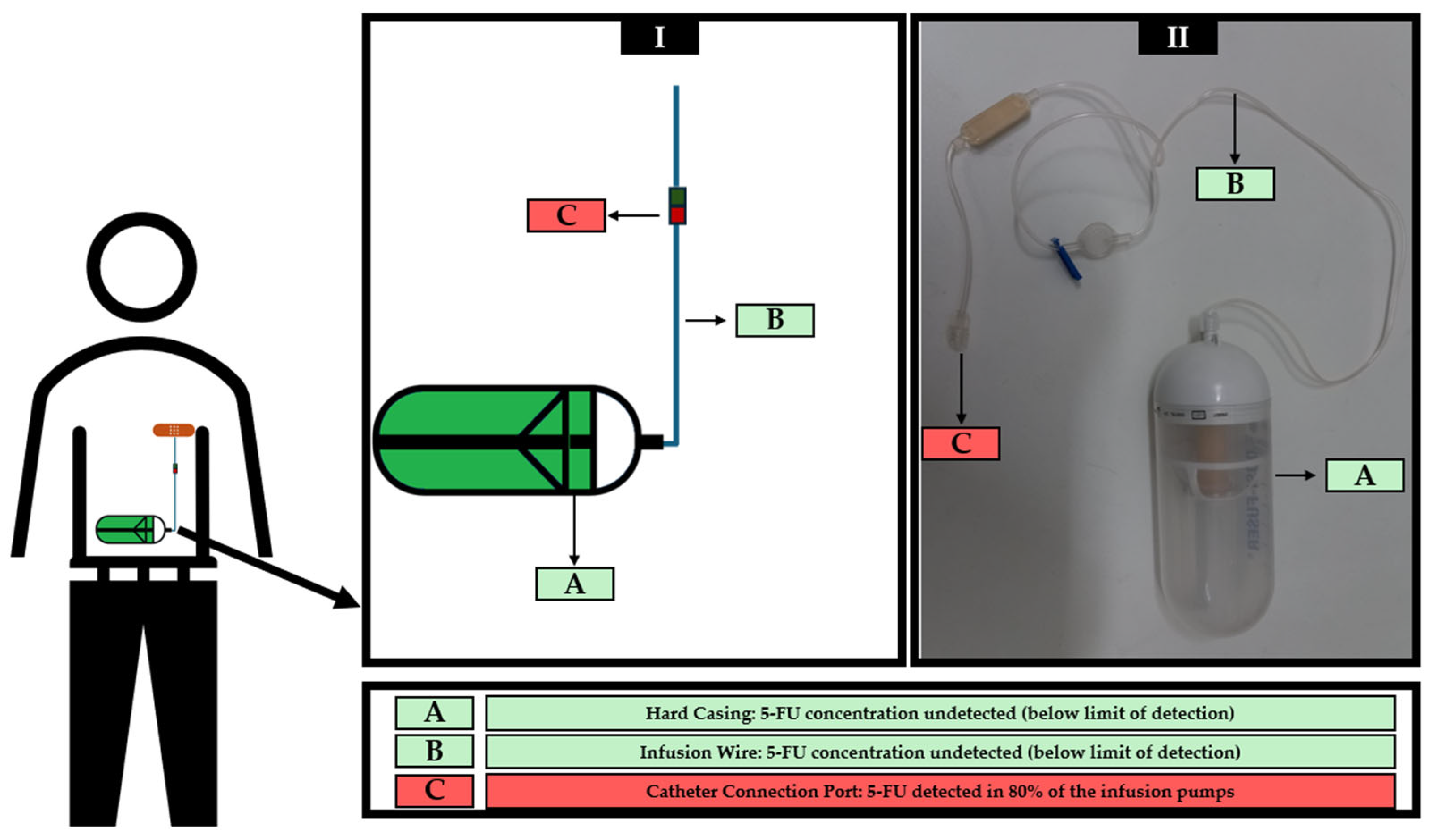 Toxics 13 00416 g002