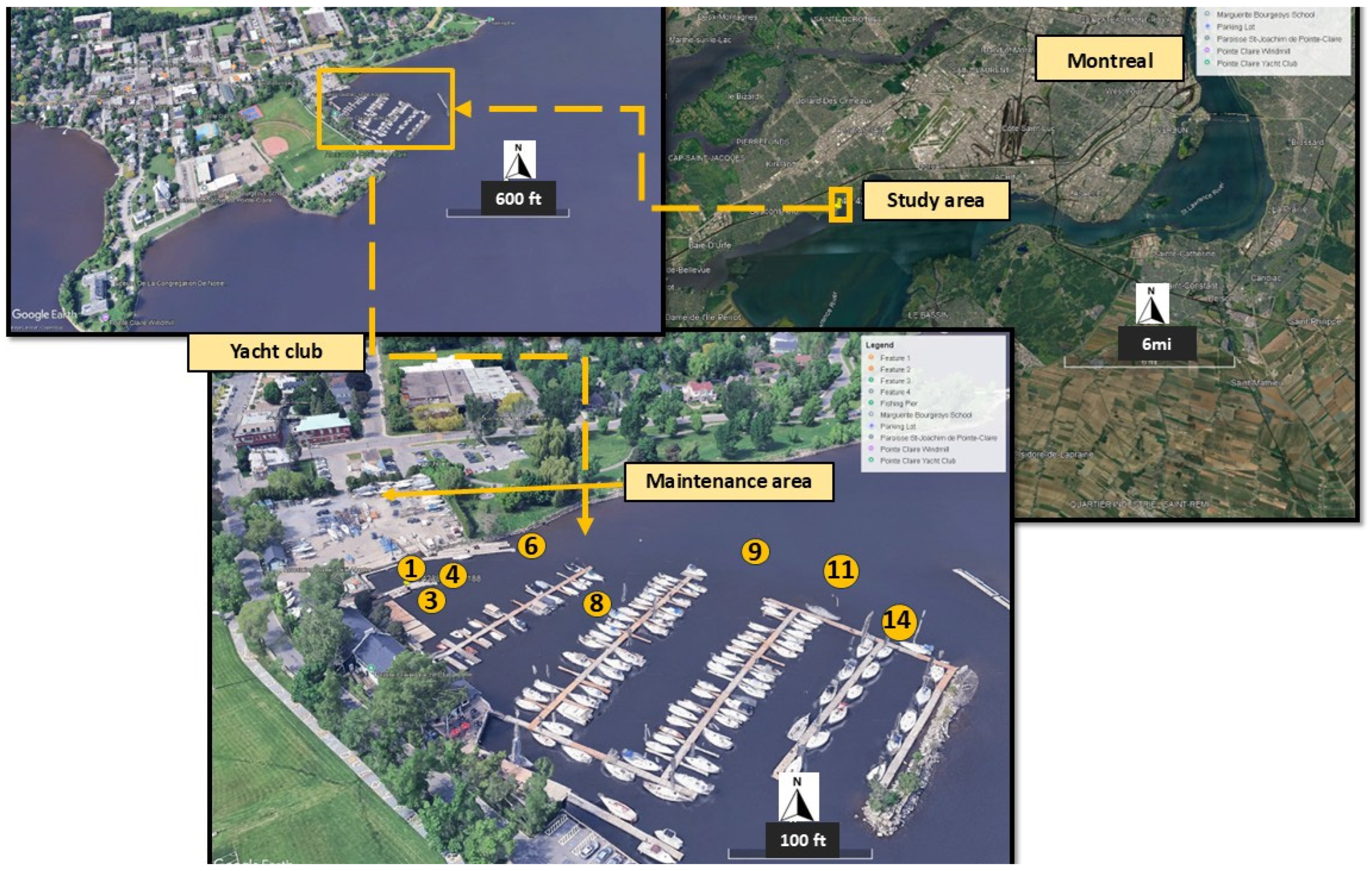 Toxics 13 00432 g001