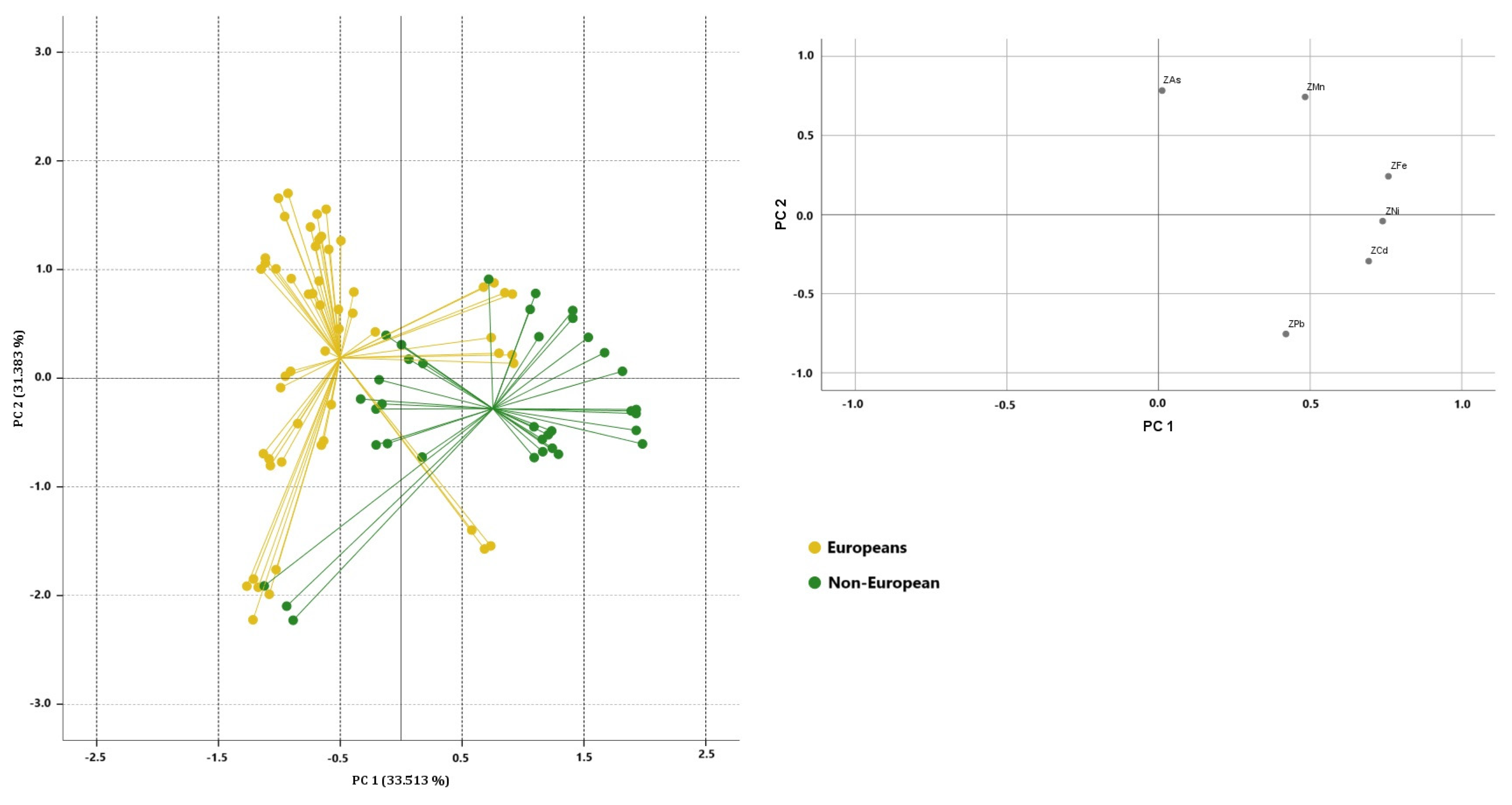 Toxics 13 00433 g001