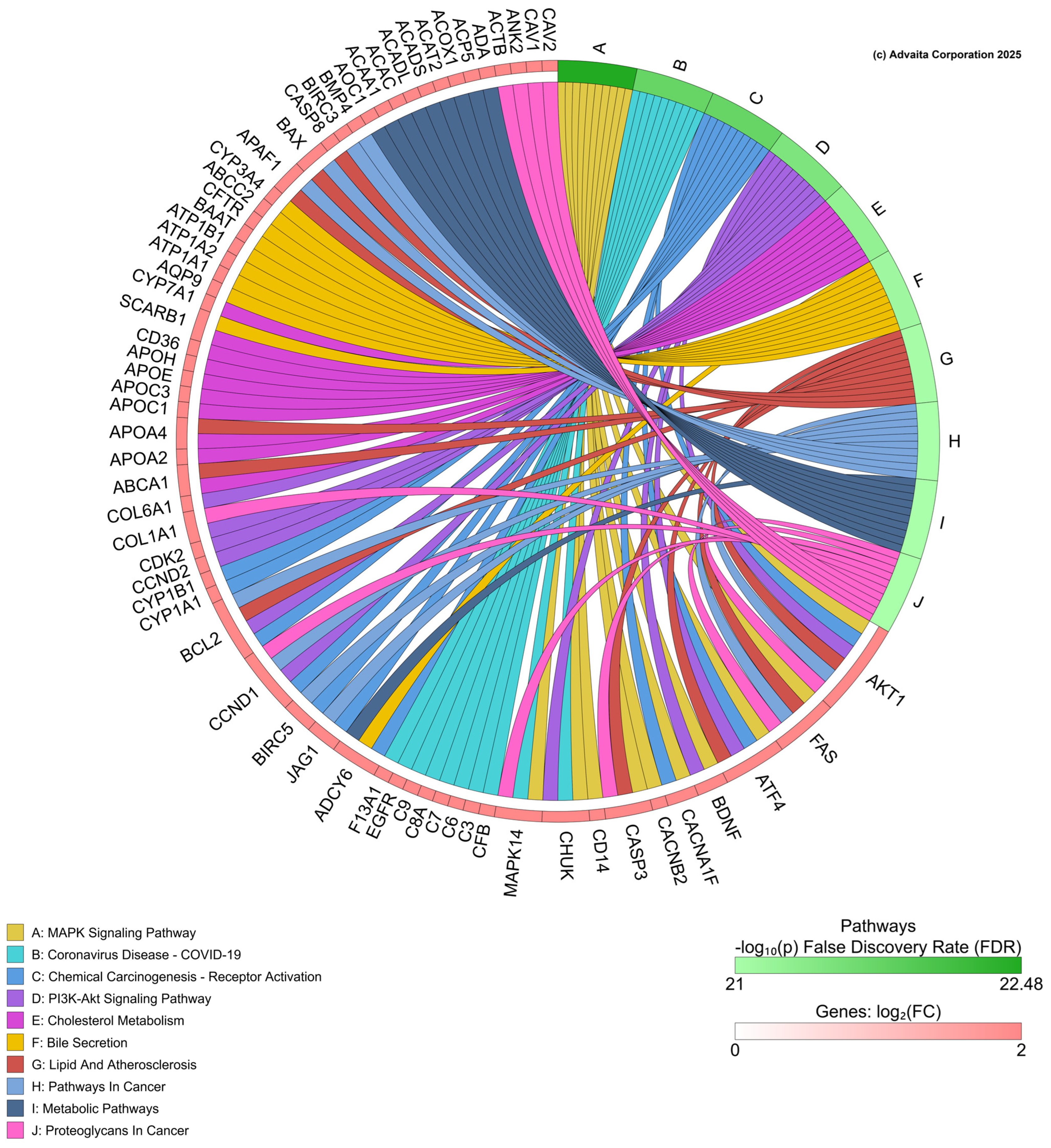 Toxics 13 00436 g005