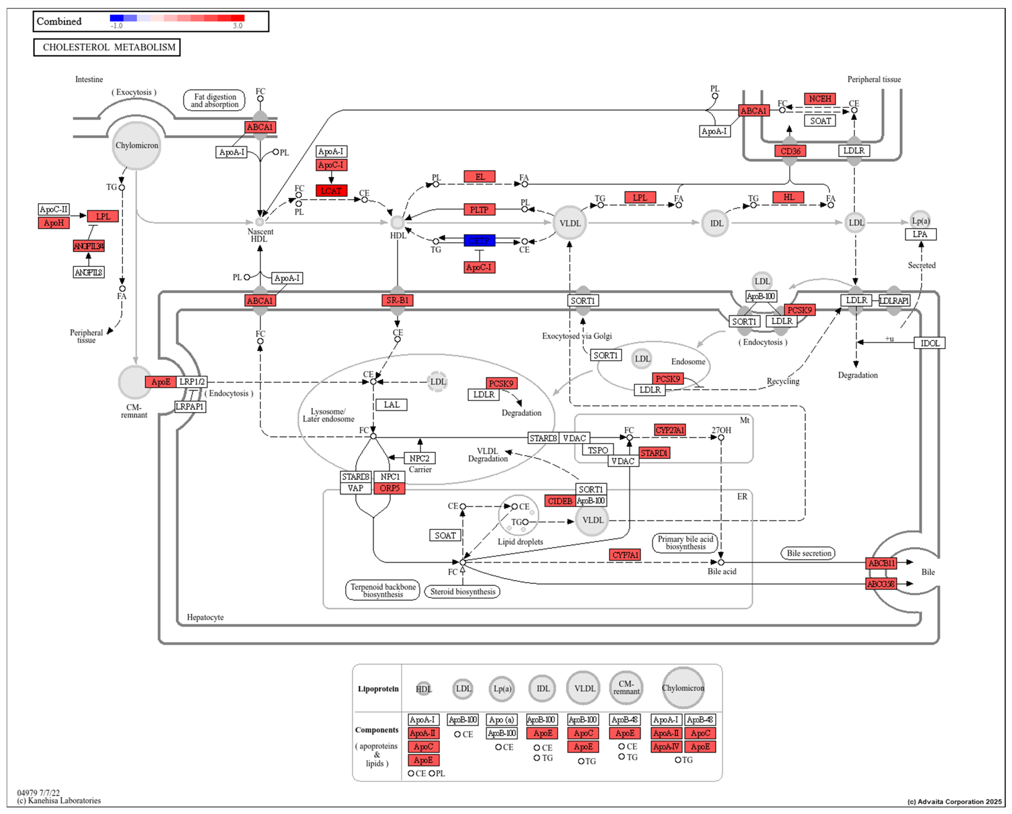 Toxics 13 00436 g006