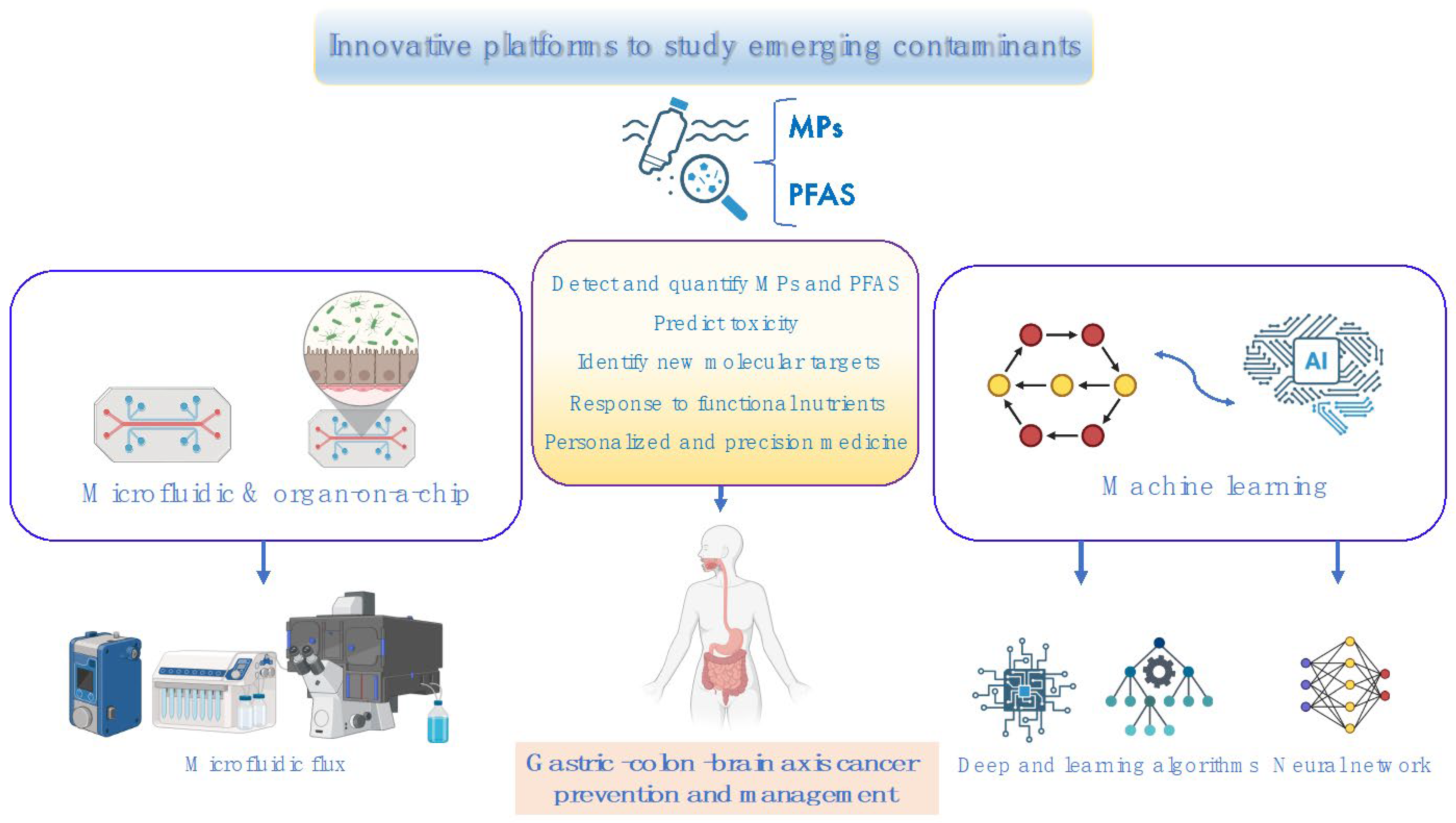 Toxics 13 00438 g006