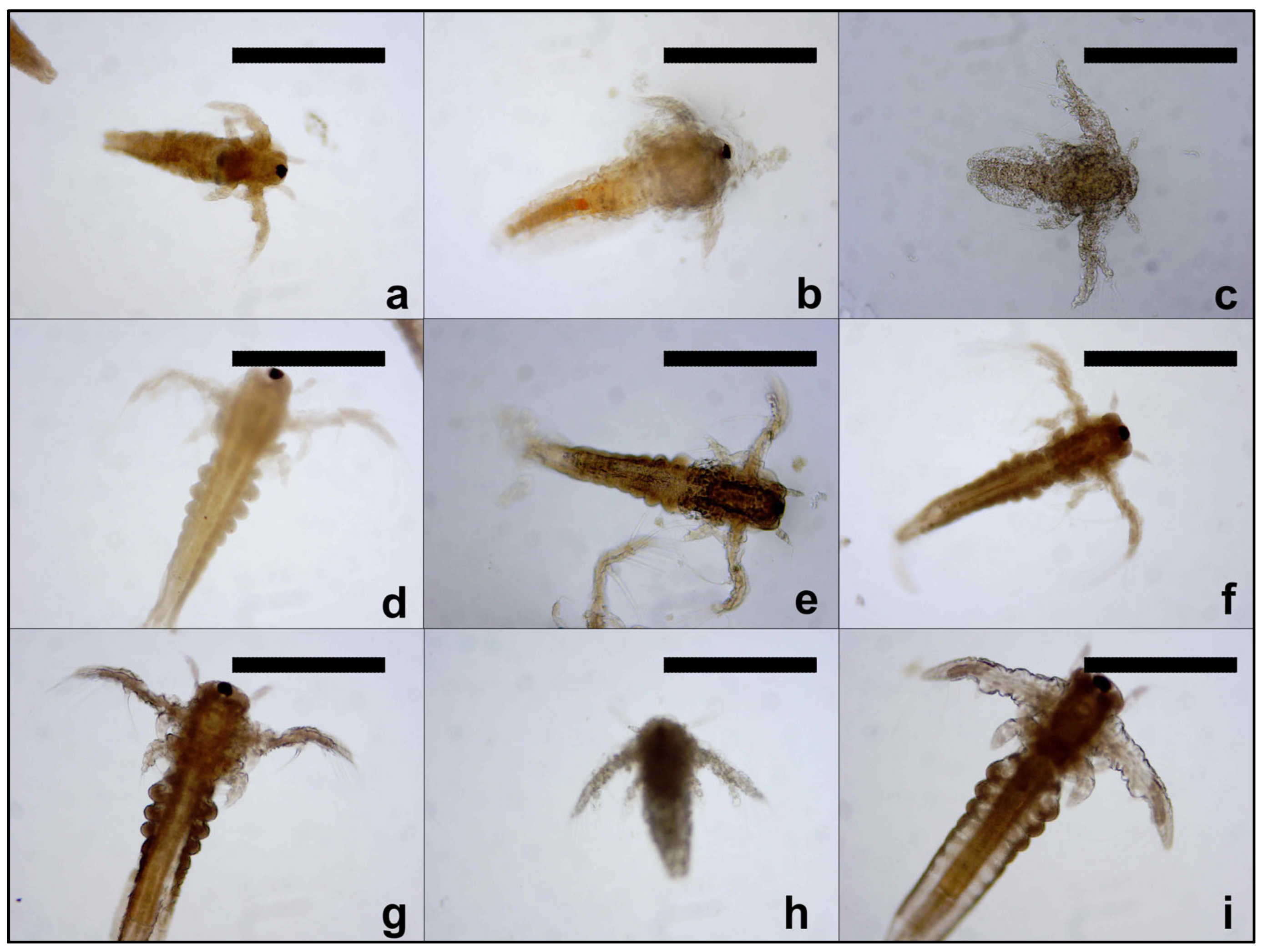 Toxics 13 00442 g001