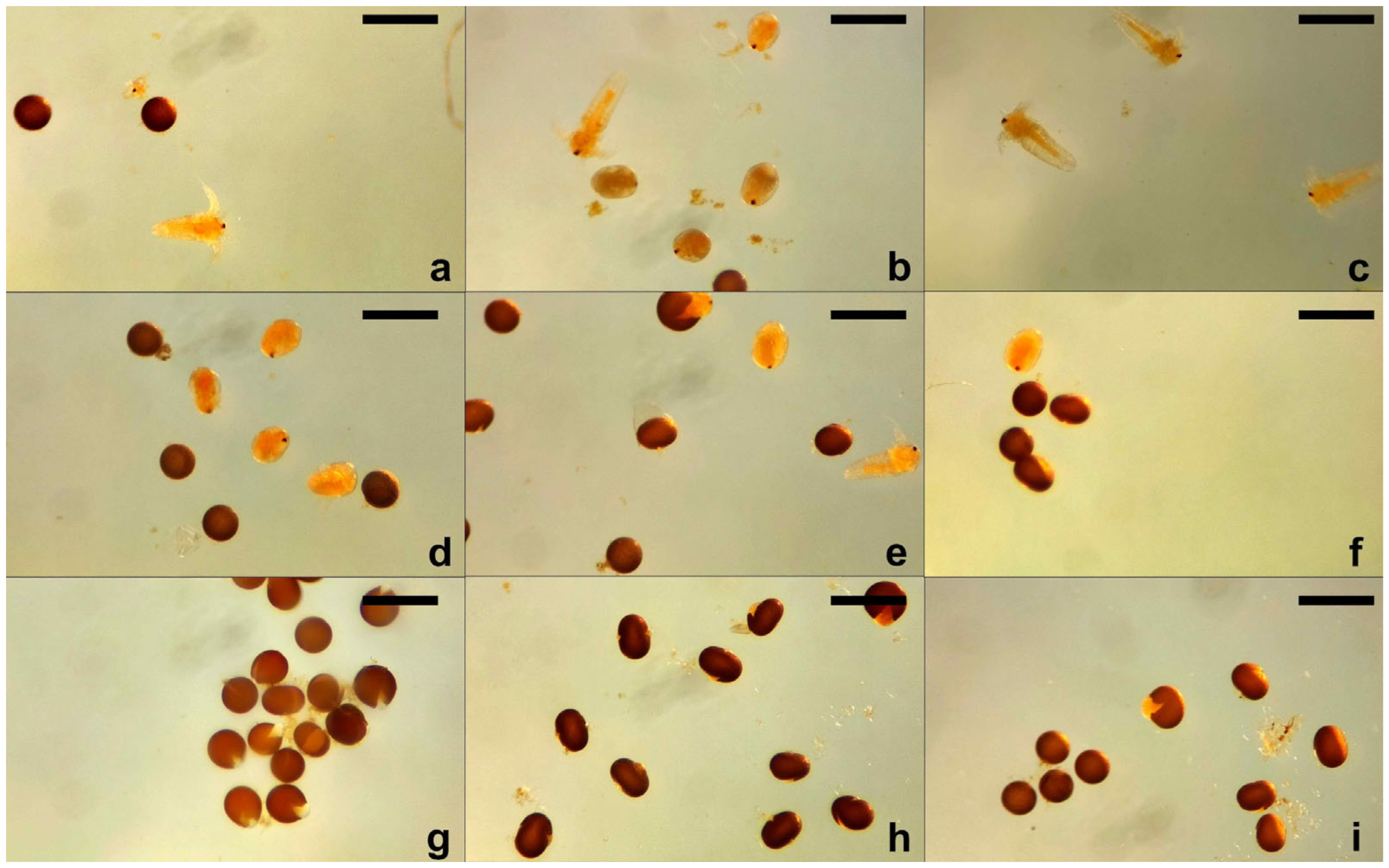 Toxics 13 00442 g005