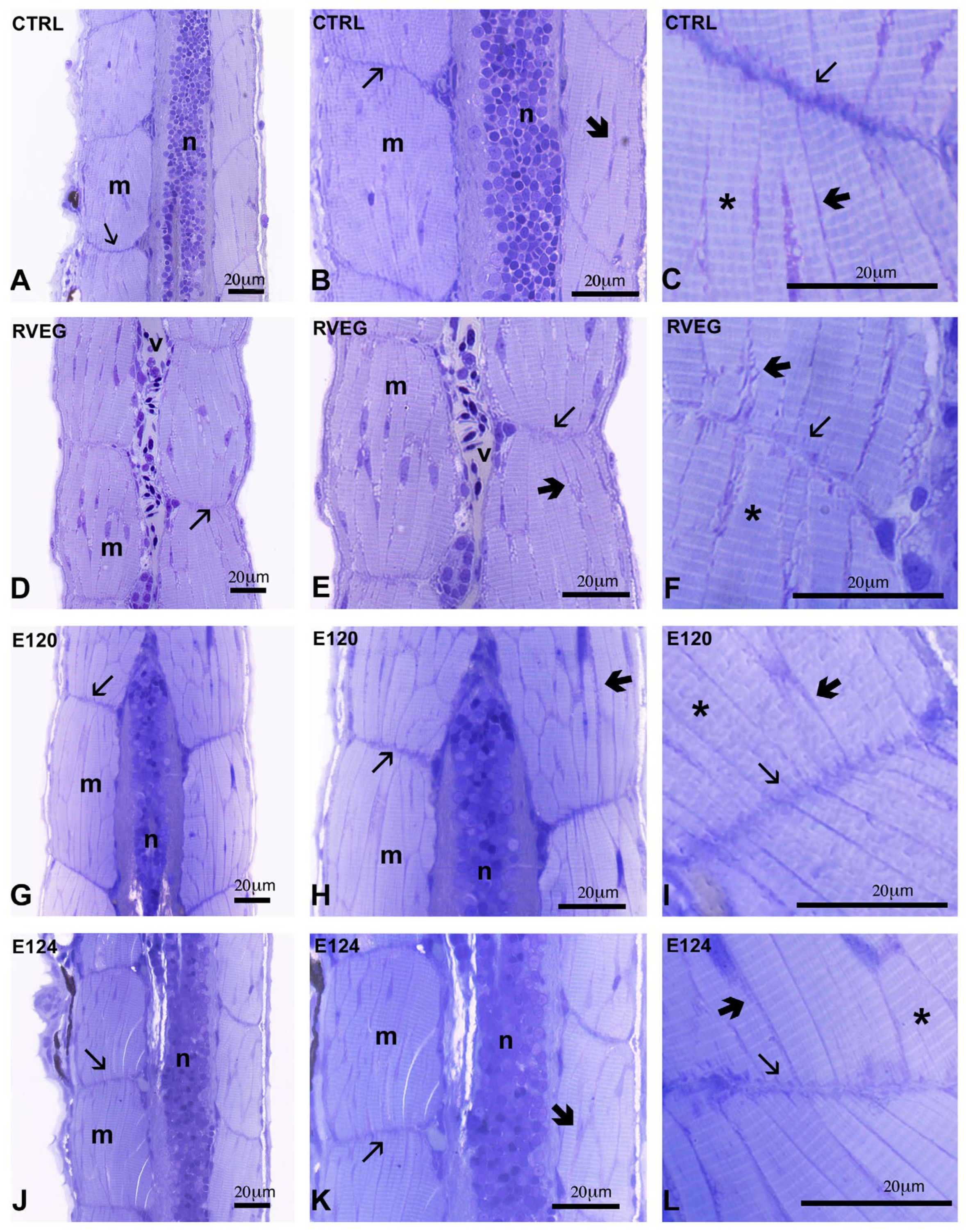 Toxics 13 00447 g004