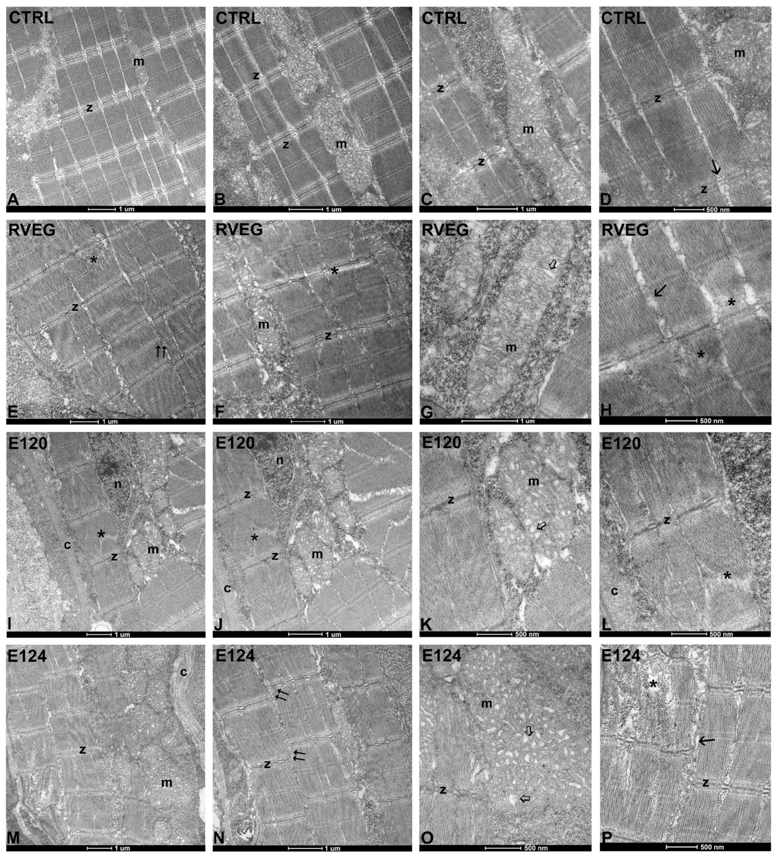 Toxics 13 00447 g005