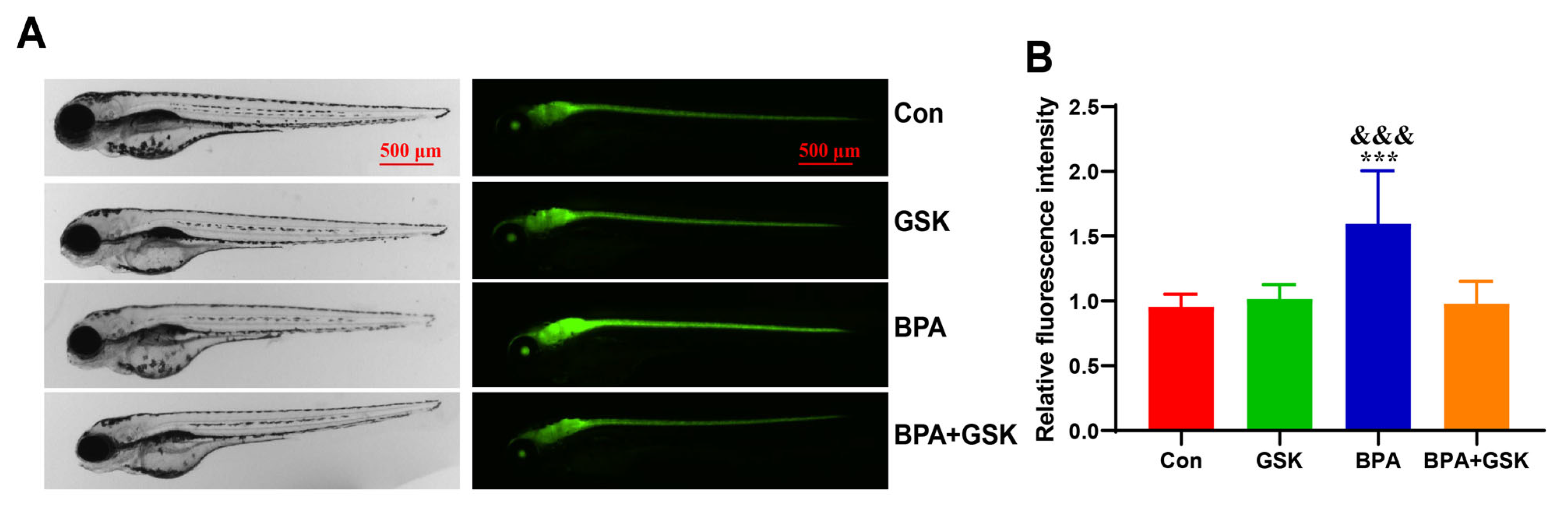 Toxics 13 00449 g005