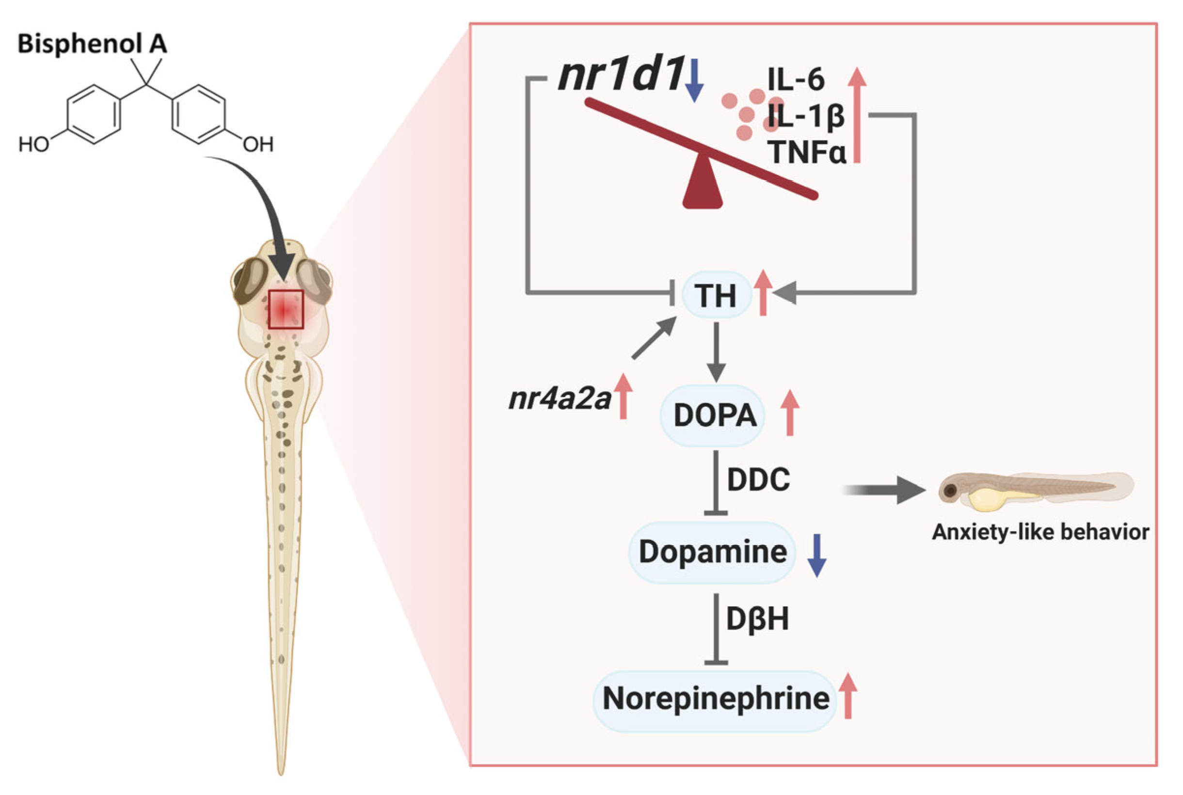 Toxics 13 00449 g008