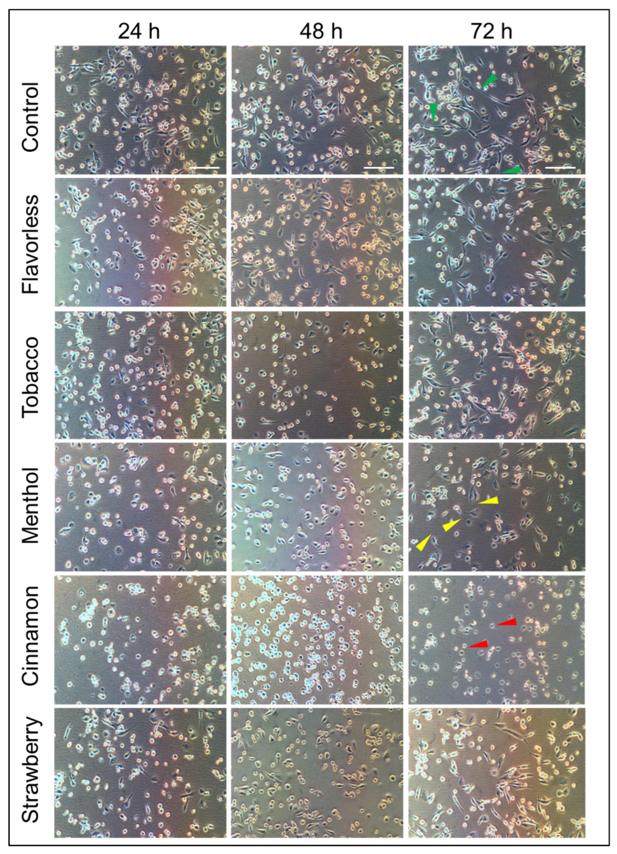 Toxics 13 00451 g003