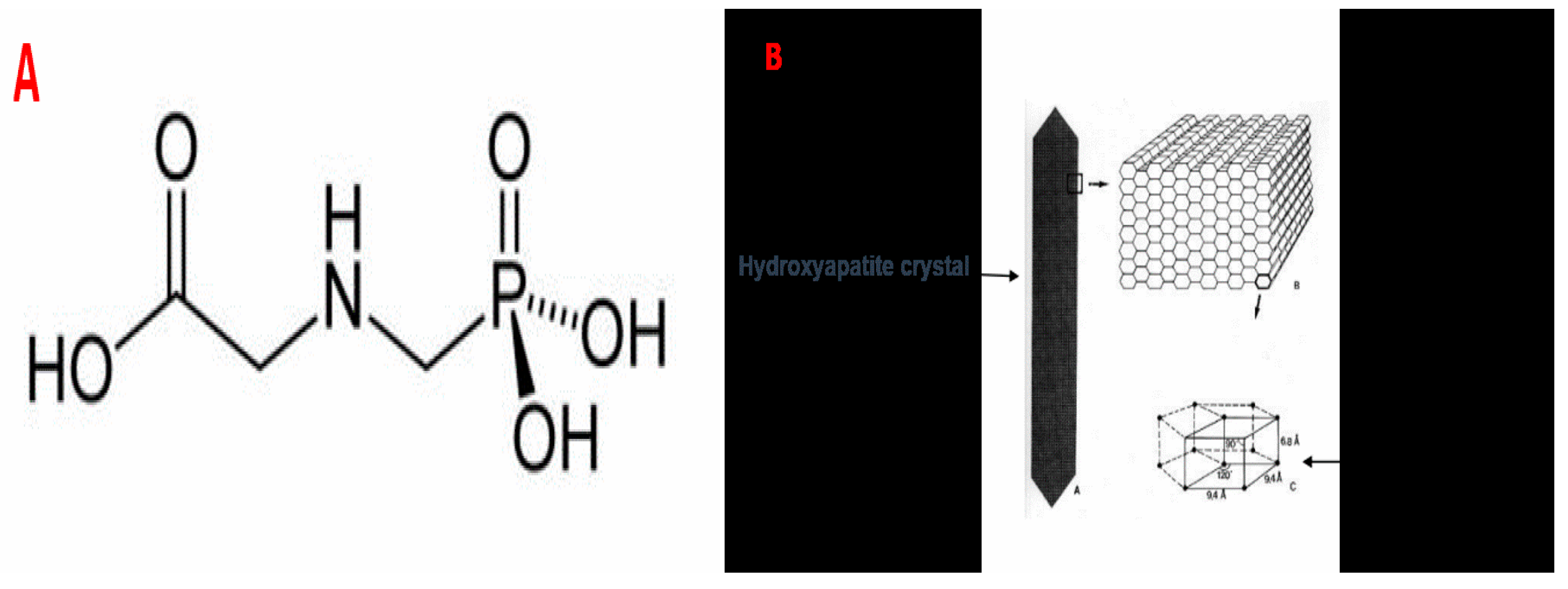 Toxics 13 00456 g001