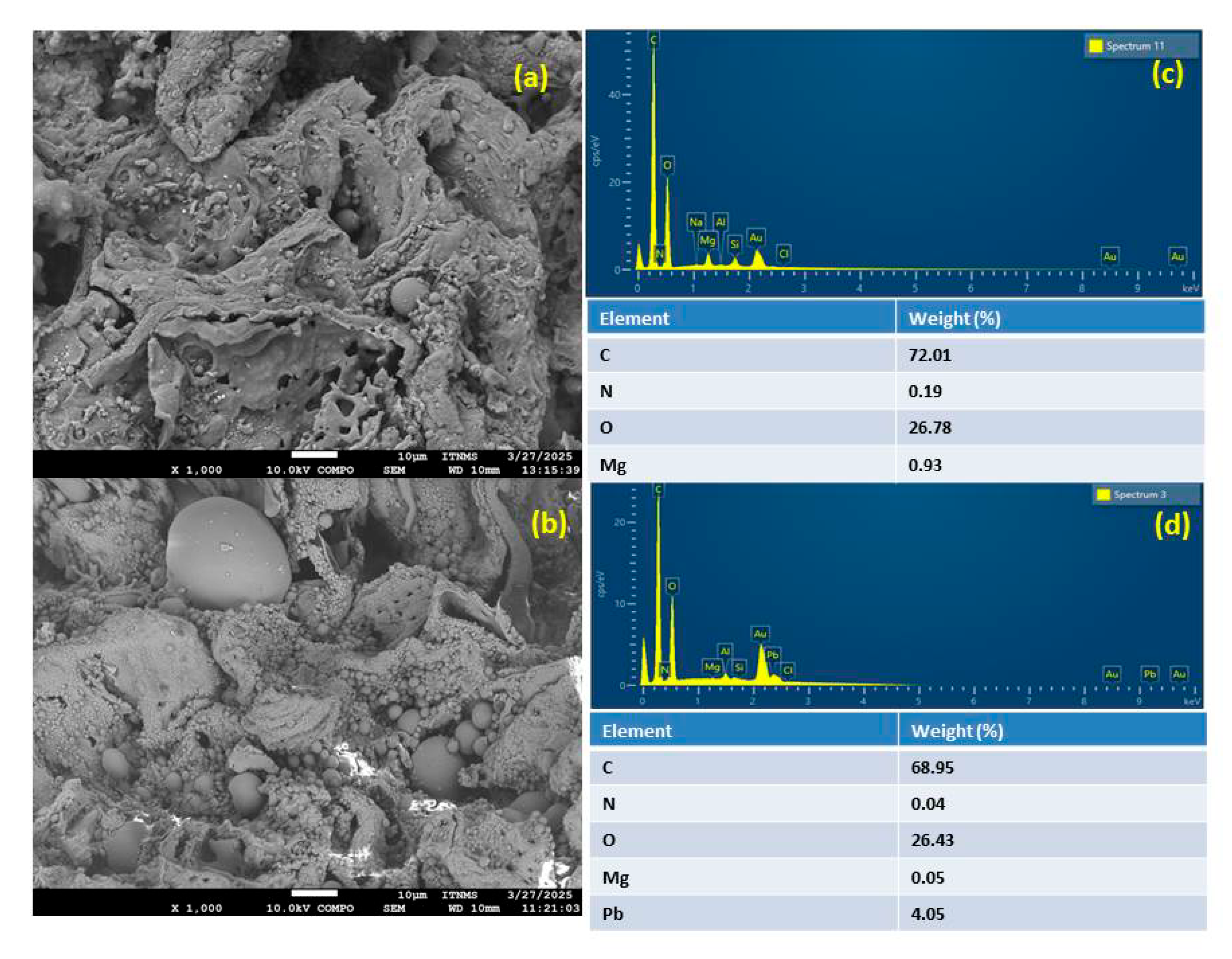 Toxics 13 00459 g001