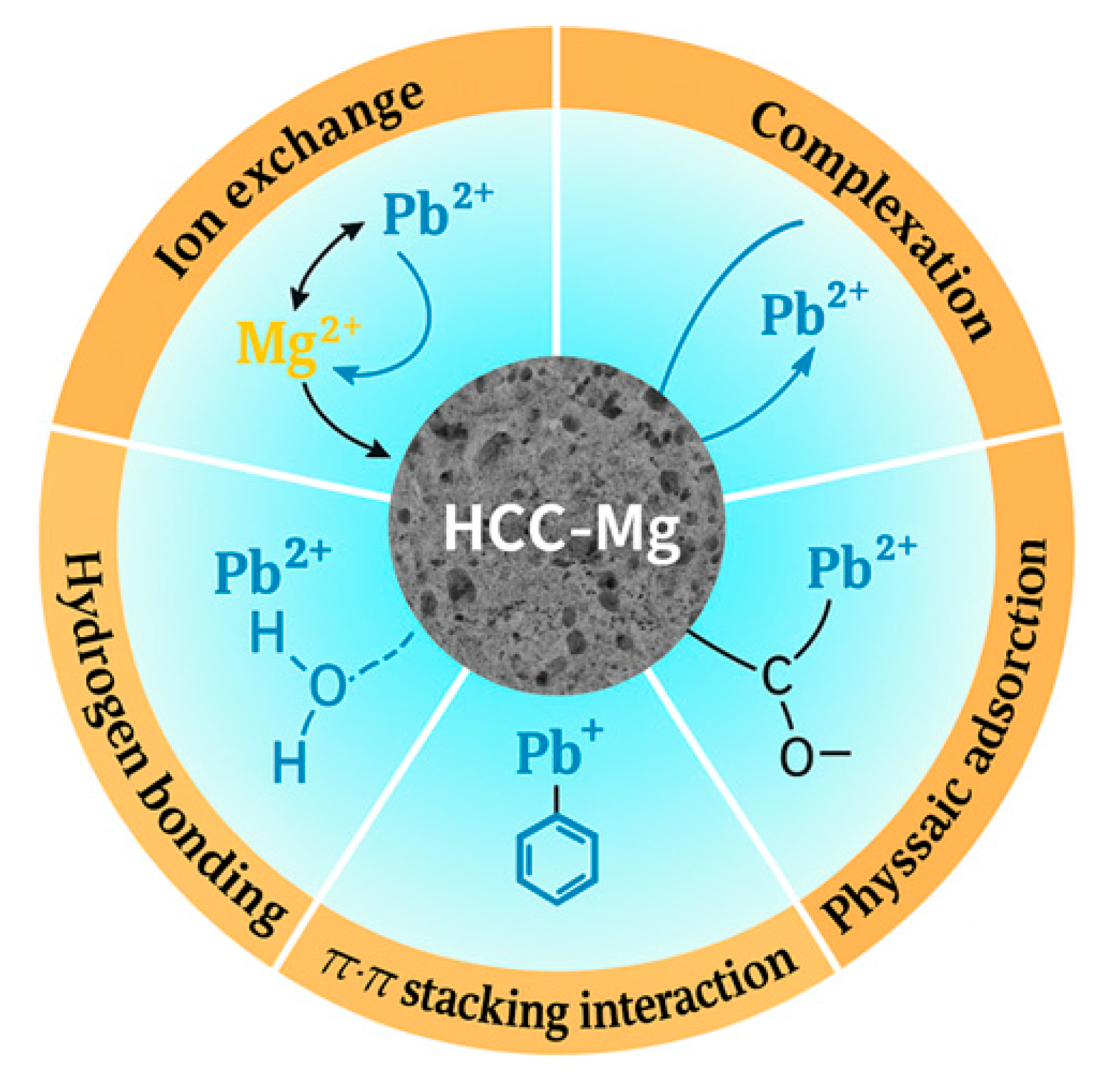 Toxics 13 00459 g007