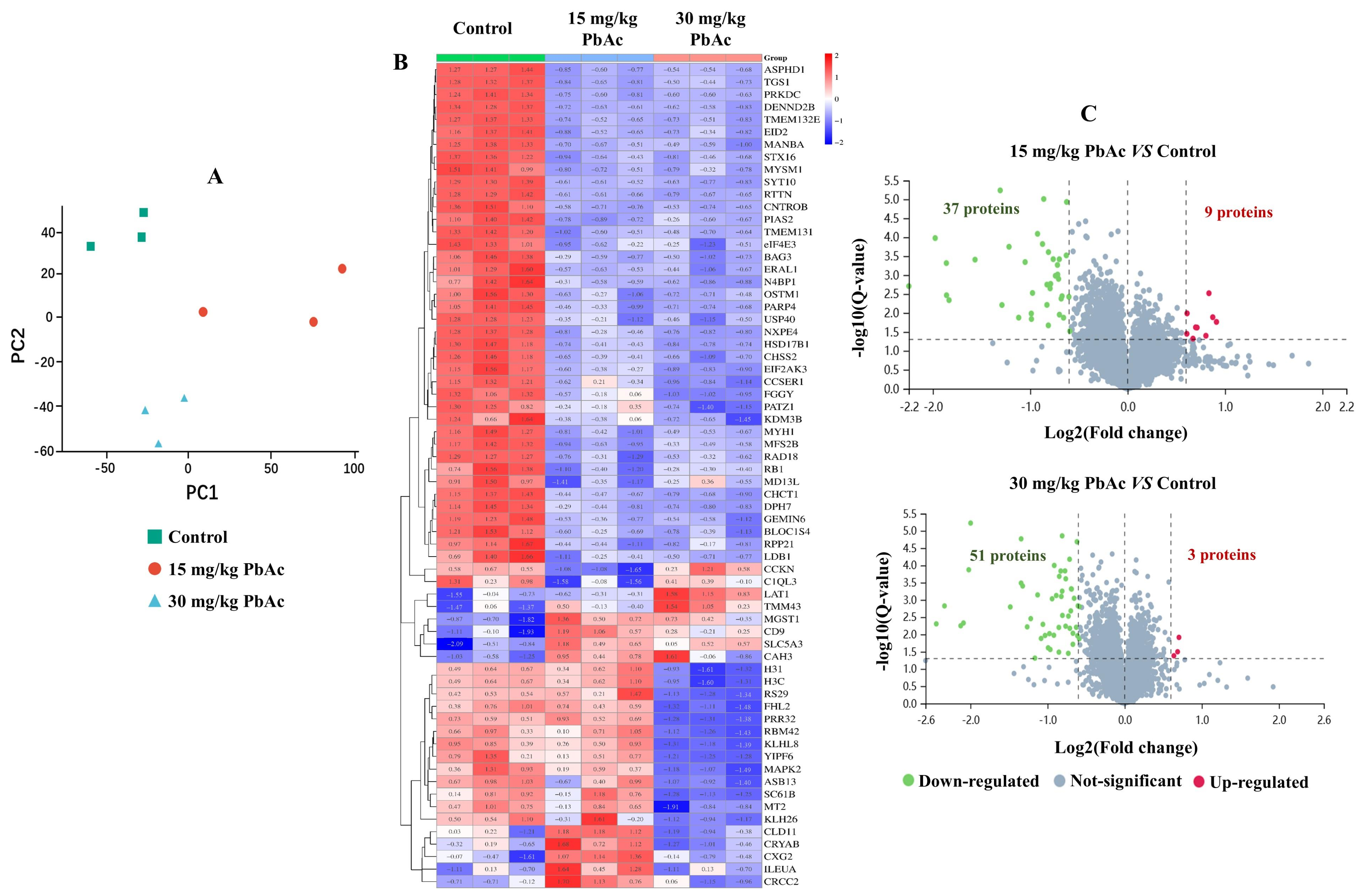 Toxics 13 00465 g006