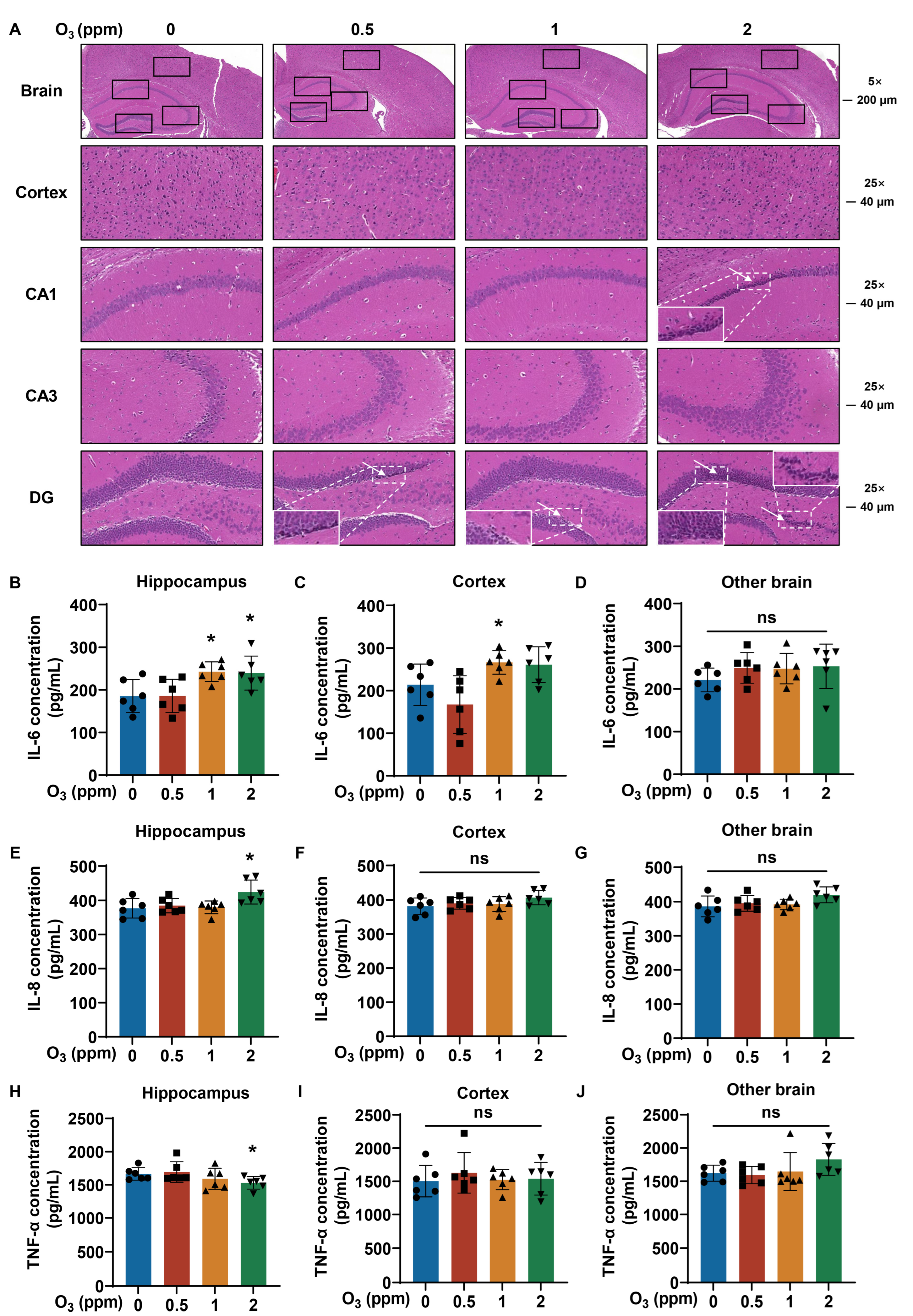 Toxics 13 00468 g006
