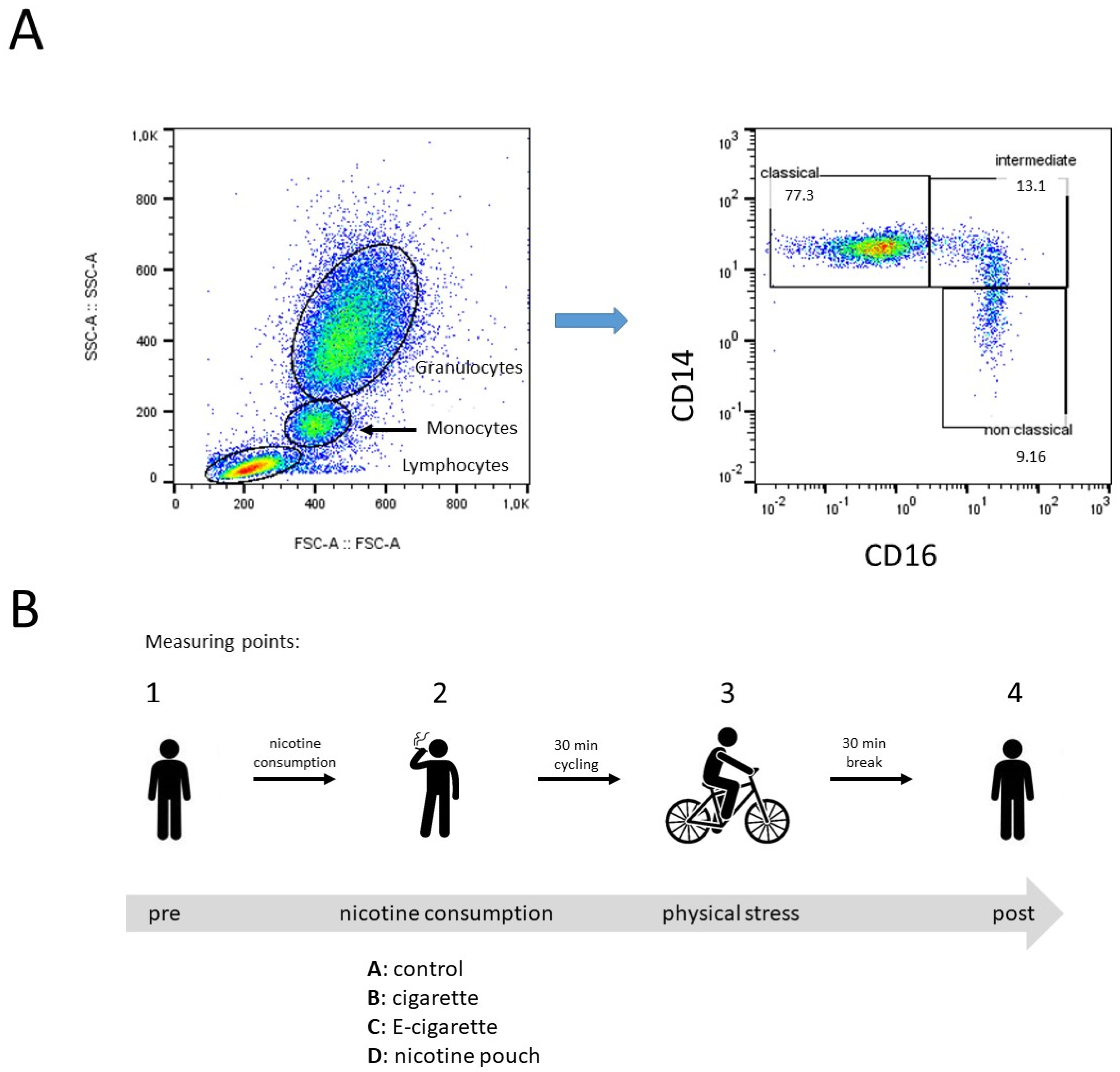 Toxics 13 00472 g002