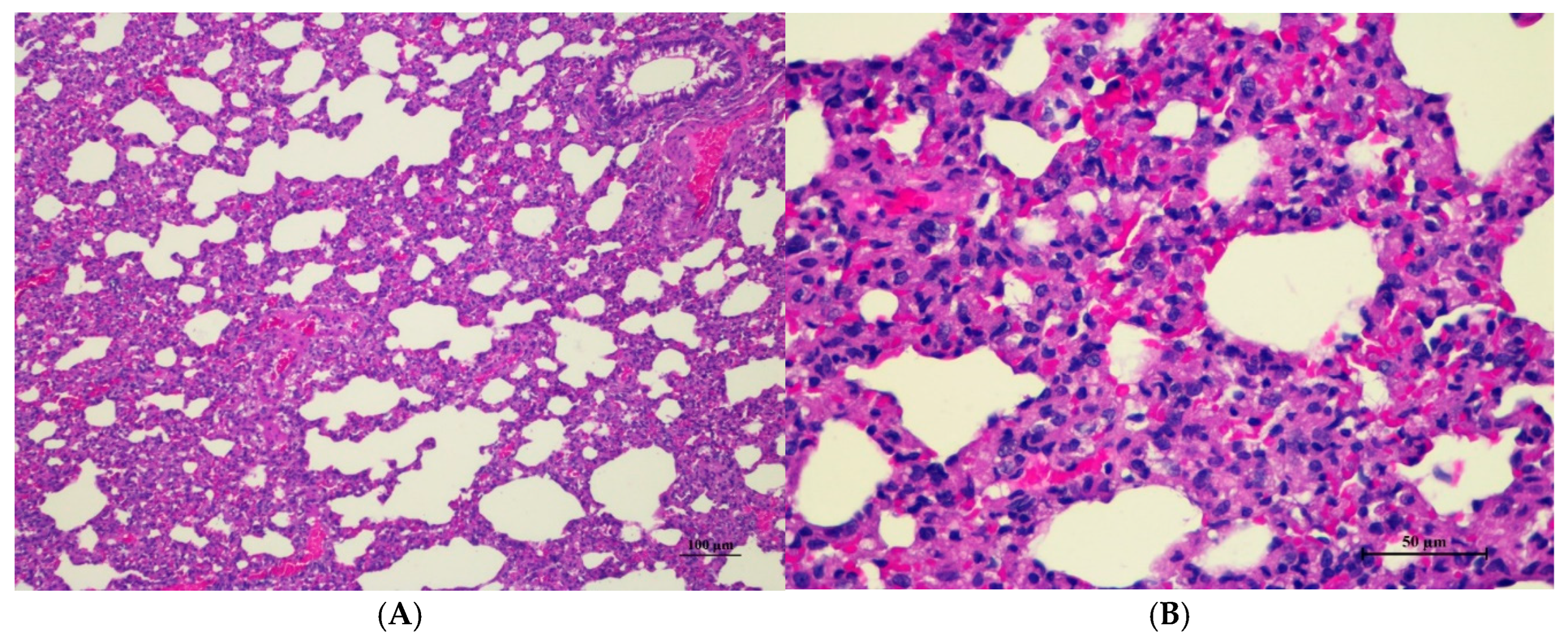 Toxics 13 00473 g005