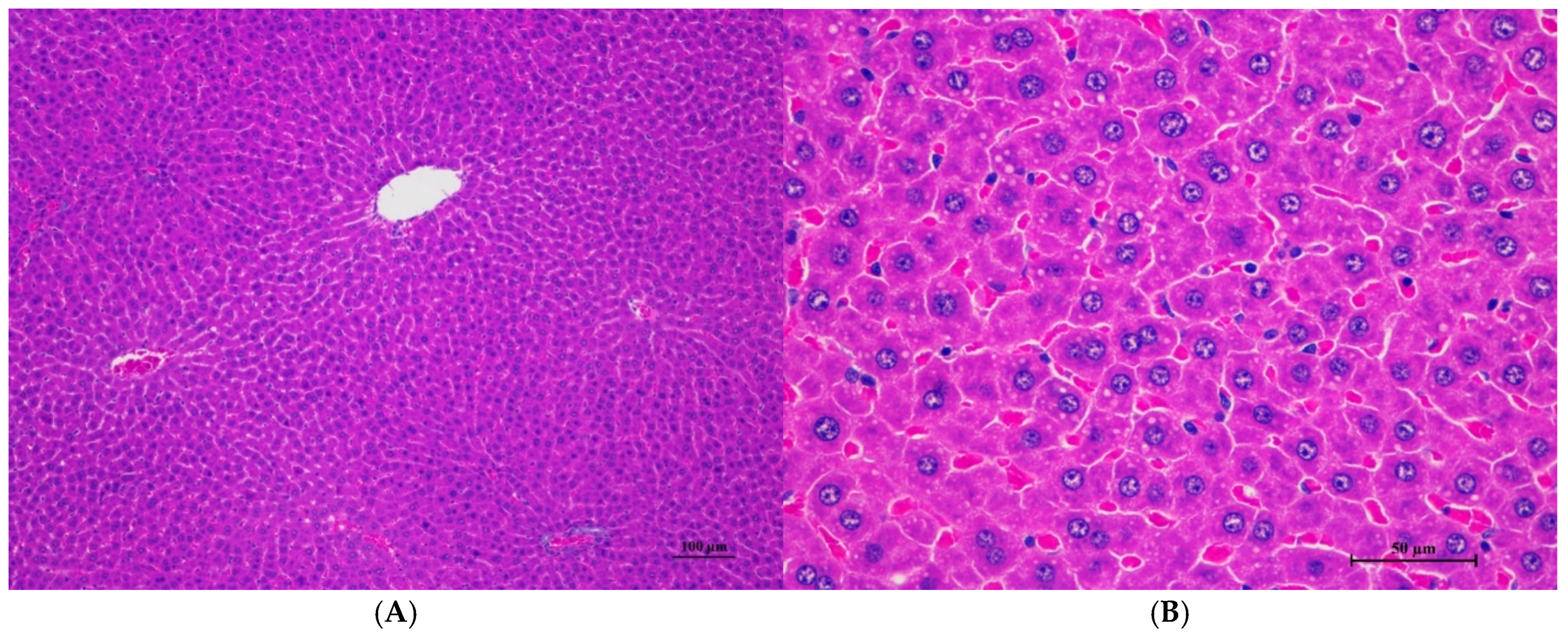 Toxics 13 00473 g006