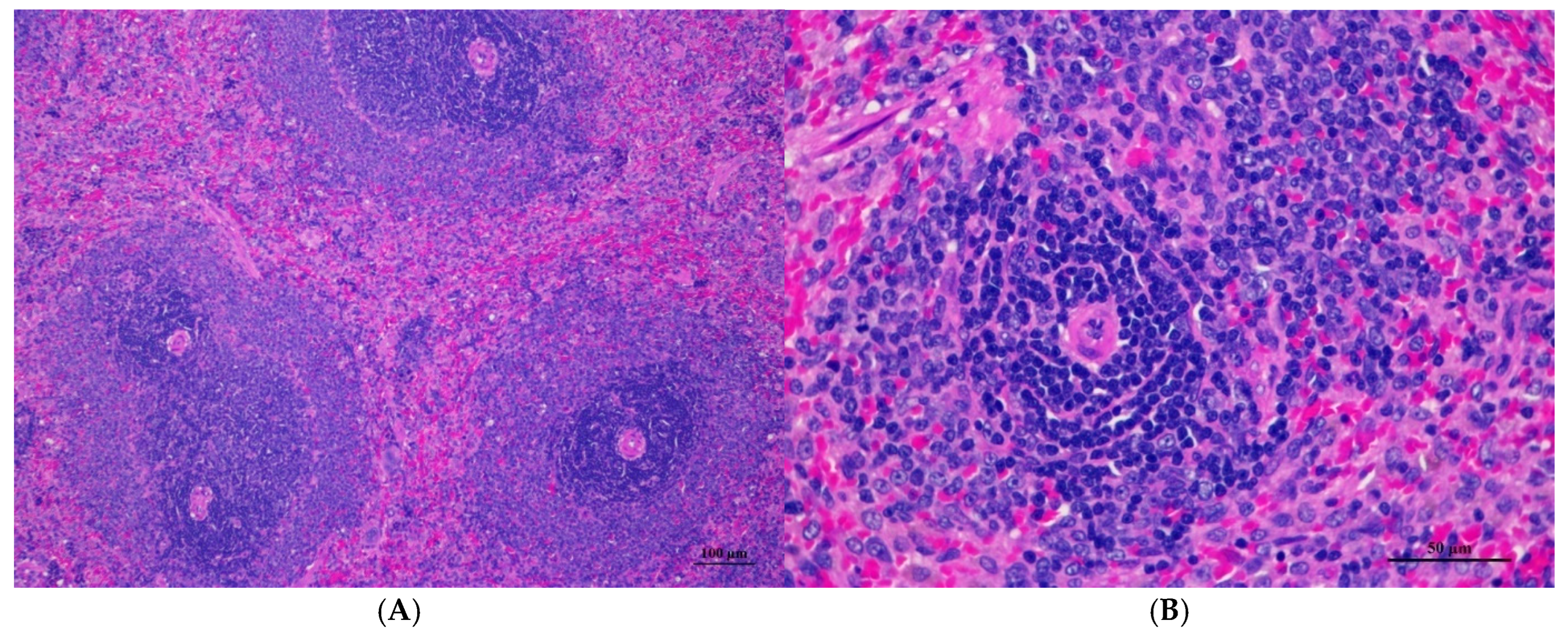 Toxics 13 00473 g009