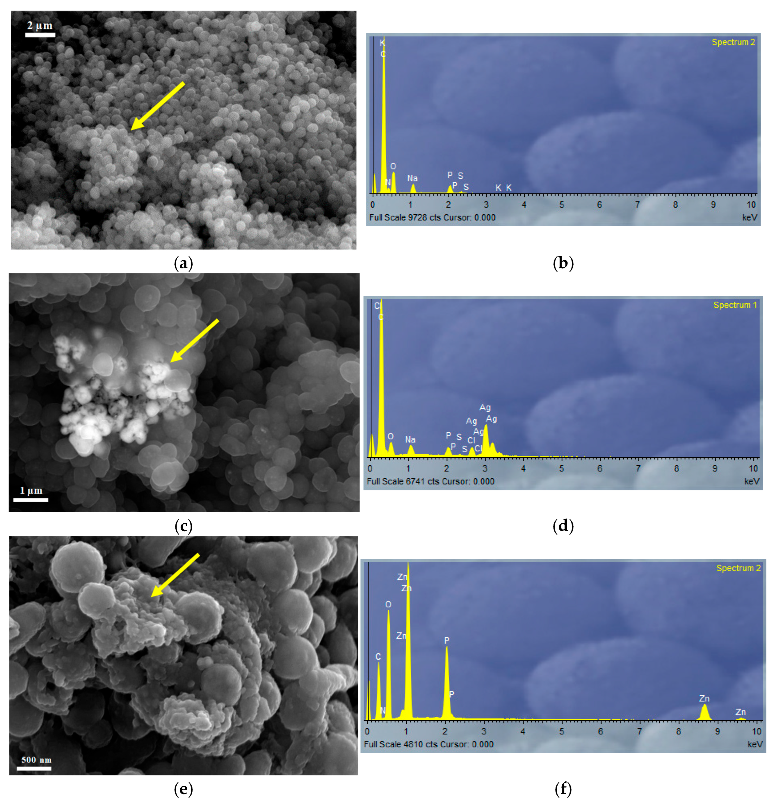 Toxics 13 00478 g005